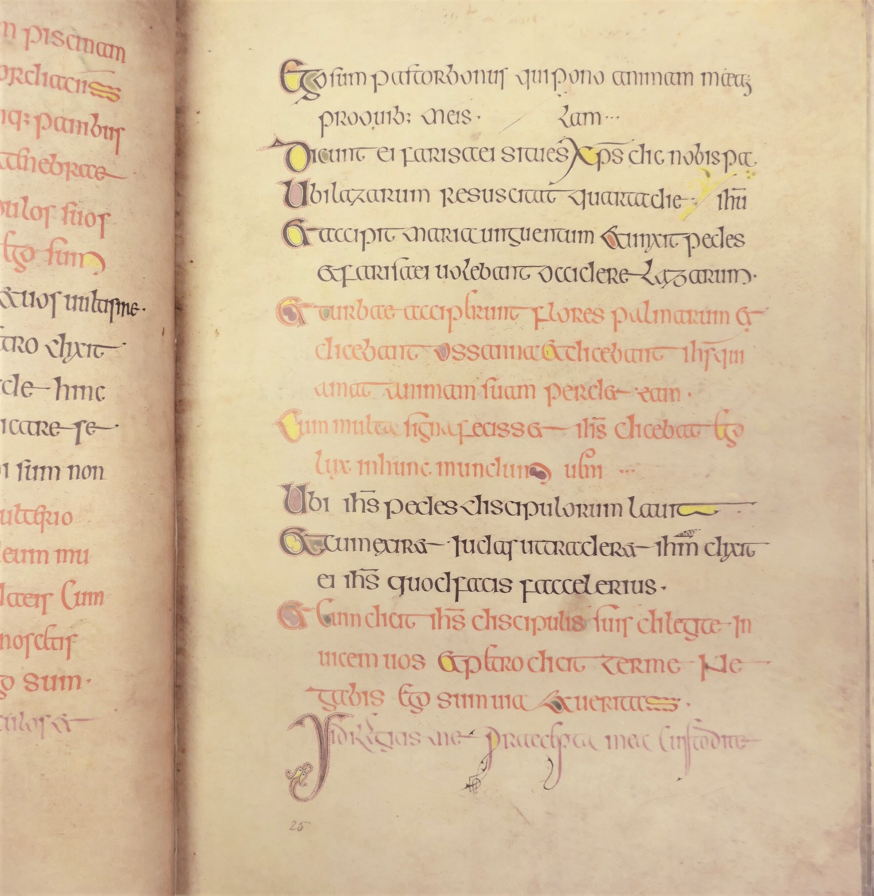 The Book of Kells. Fine Art Facsimile (1990) - Image 3