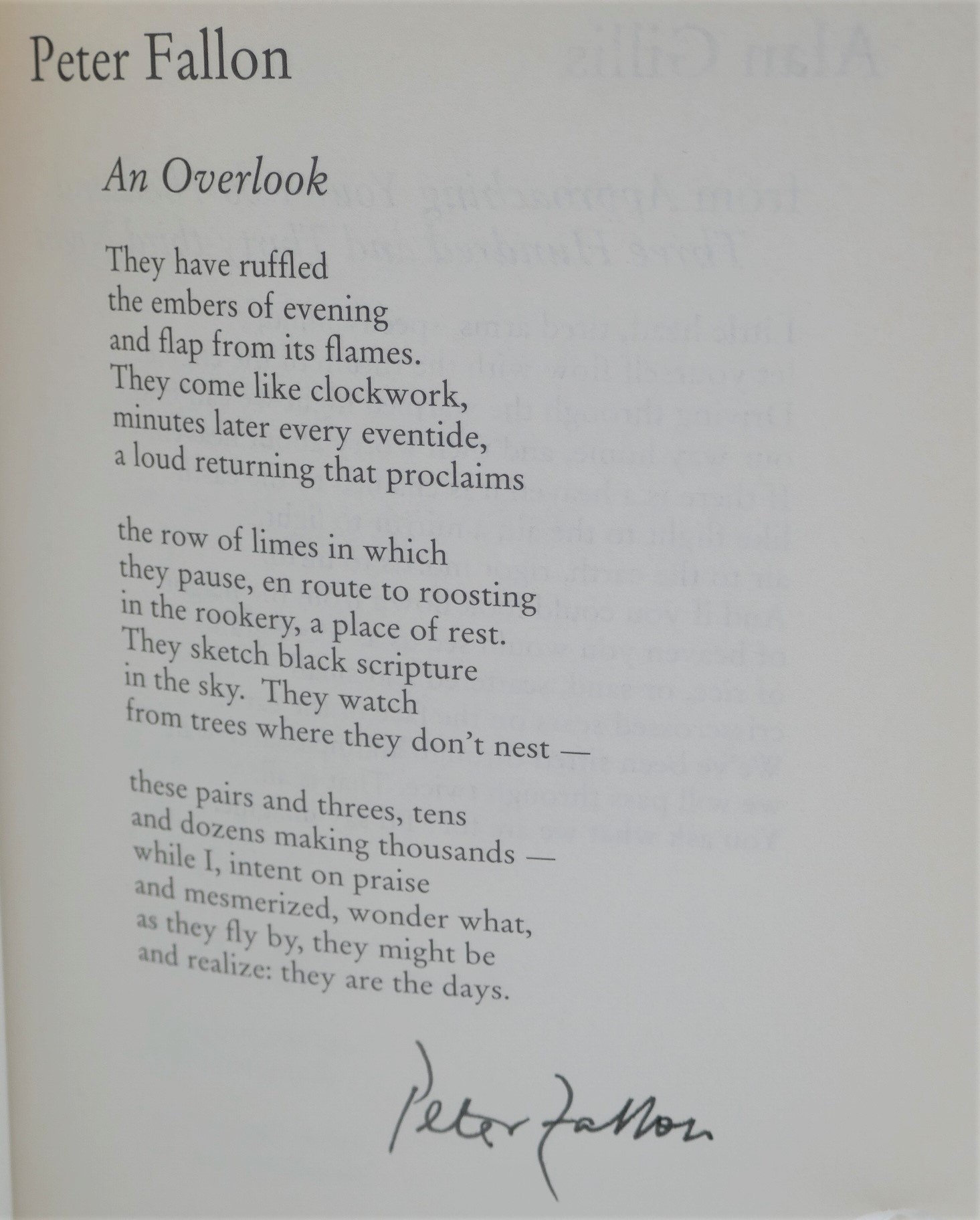 Forty. Gallery Press Anniversary Poetry Celebration. Signed Copy (2010) - Image 3