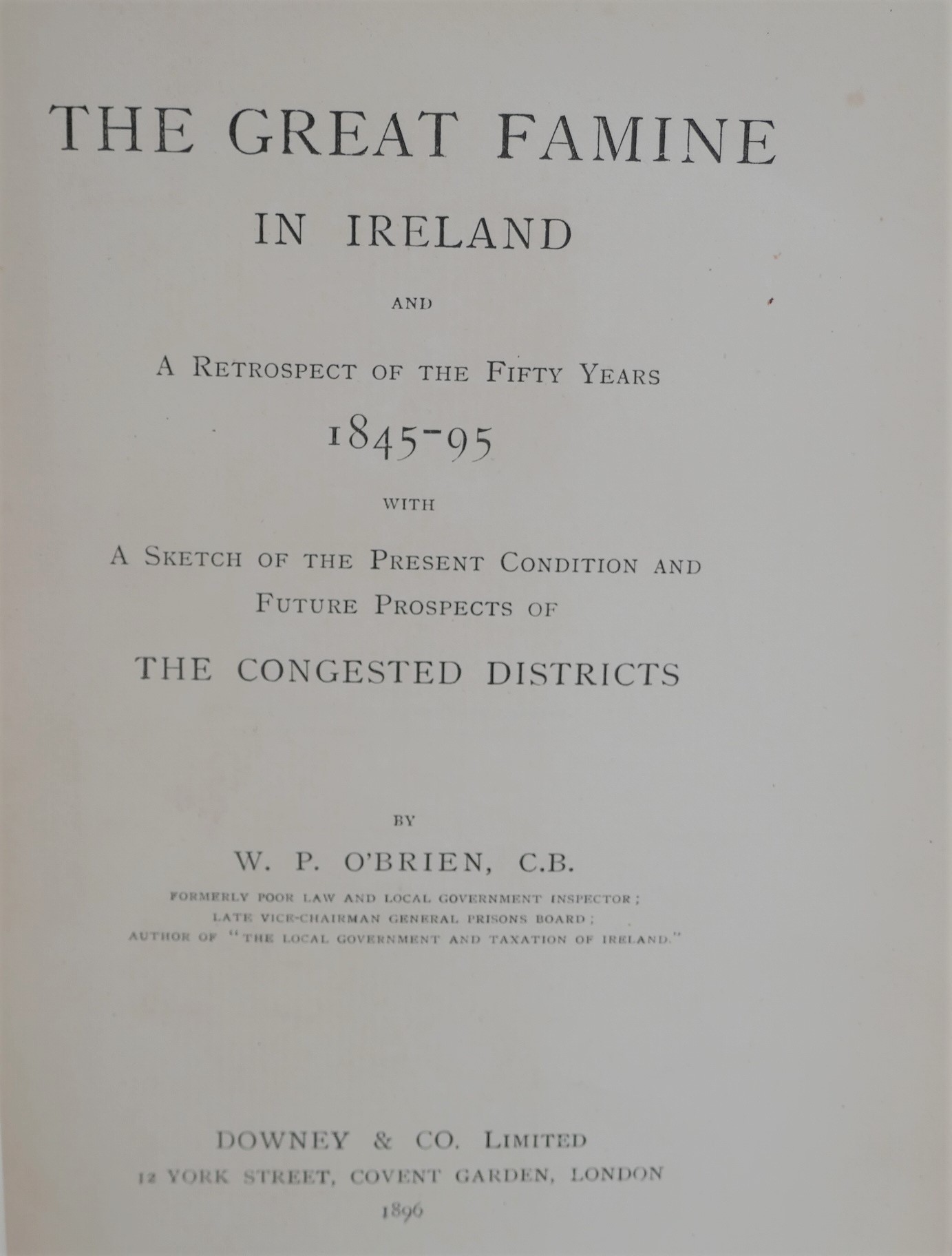 The Great Famine in Ireland (1896) - Image 3