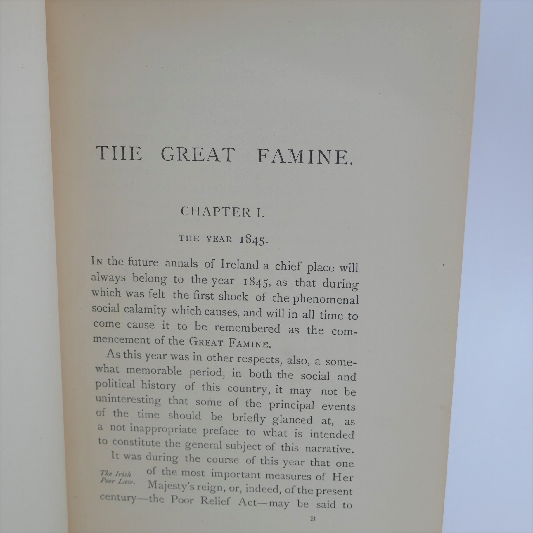 The Great Famine in Ireland (1896) - Image 4