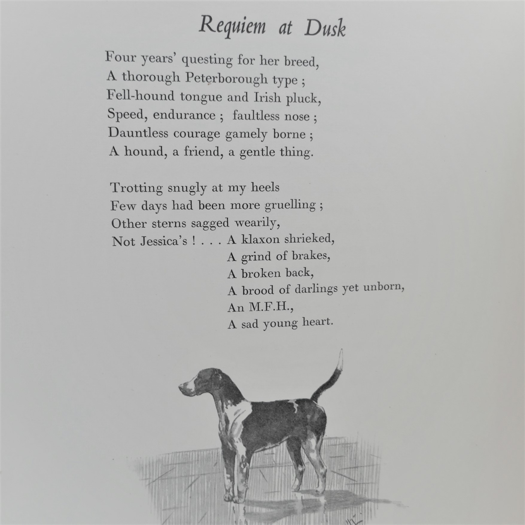 Rhymes of an Irish Huntsman. Limited Signed Edition (1937) - Image 6