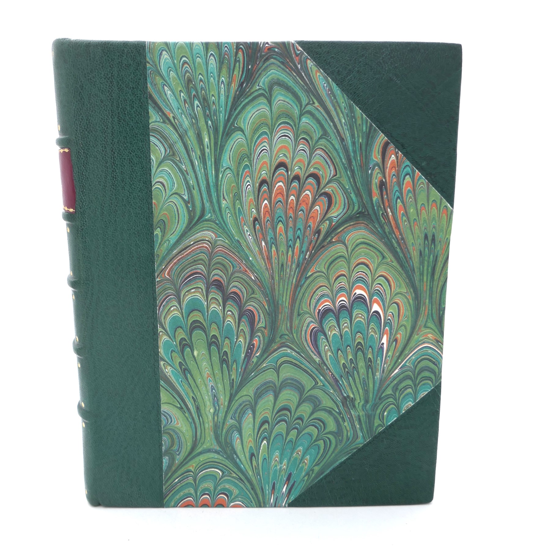 Irish Fairy Tales. Illustrated by Arthur Rackham (1920) - Image 11