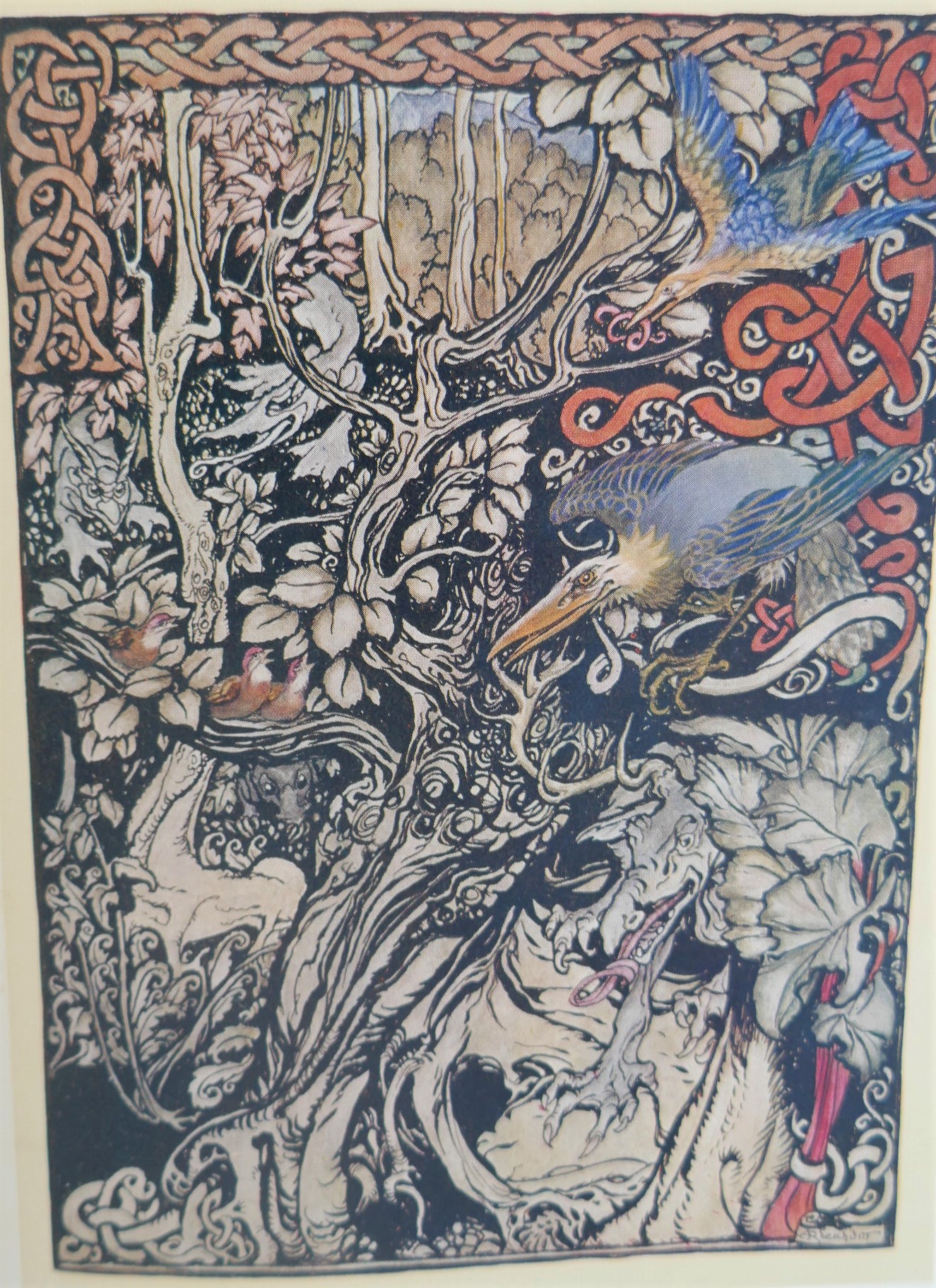 Irish Fairy Tales. Illustrated by Arthur Rackham (1920) - Image 5