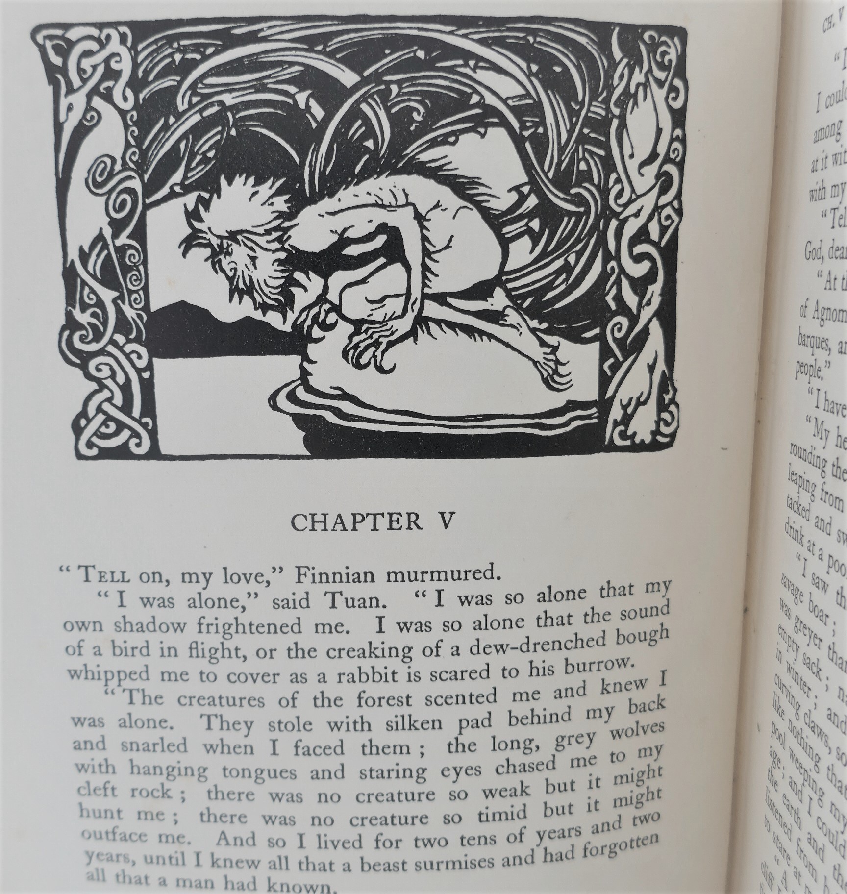 Irish Fairy Tales. Illustrated by Arthur Rackham (1920) - Image 4
