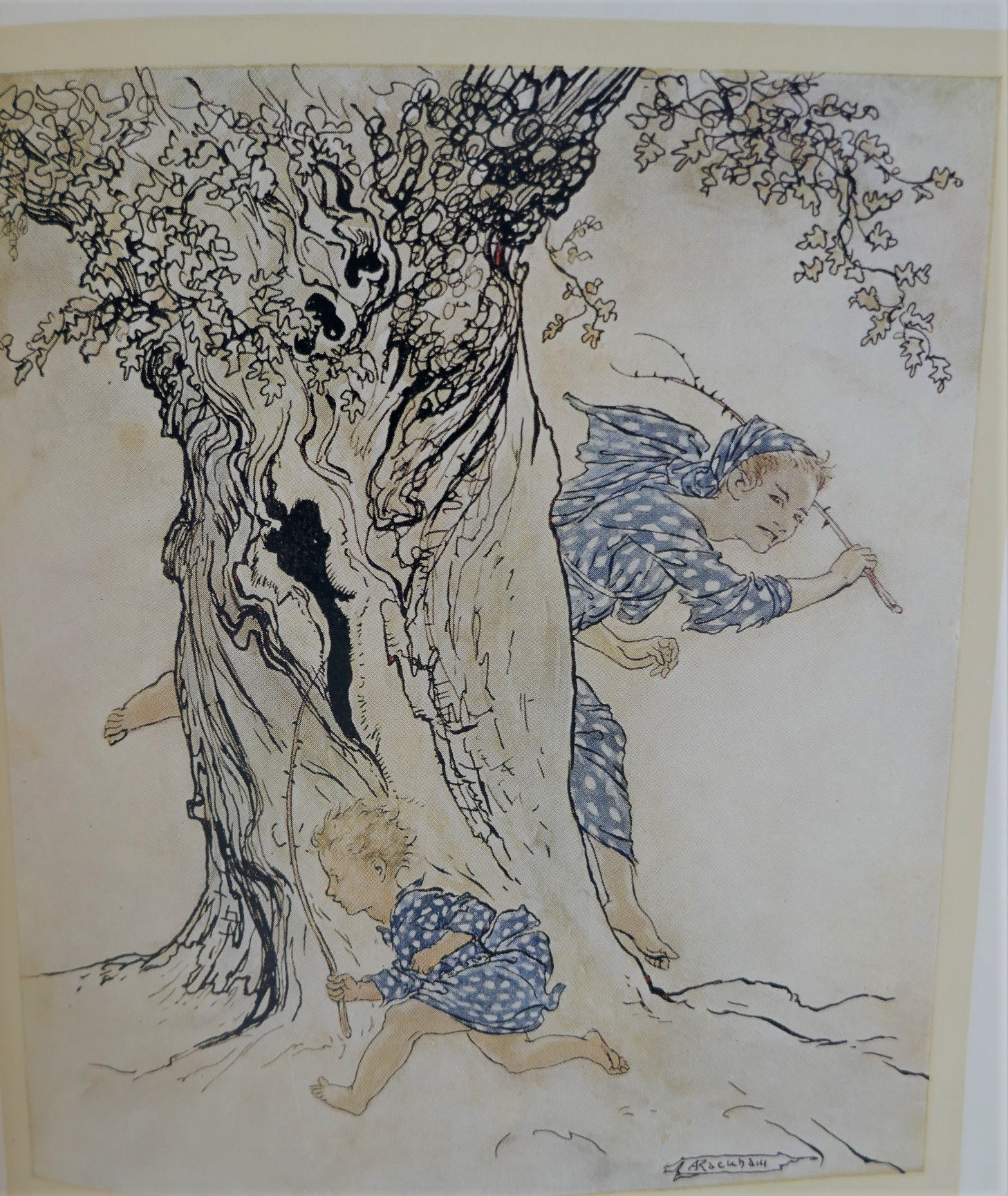 Irish Fairy Tales. Illustrated by Arthur Rackham (1920) - Image 3