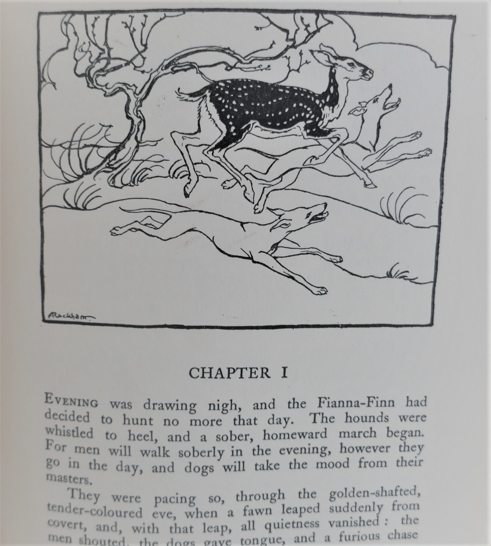 Irish Fairy Tales. Illustrated by Arthur Rackham (1920) - Image 2