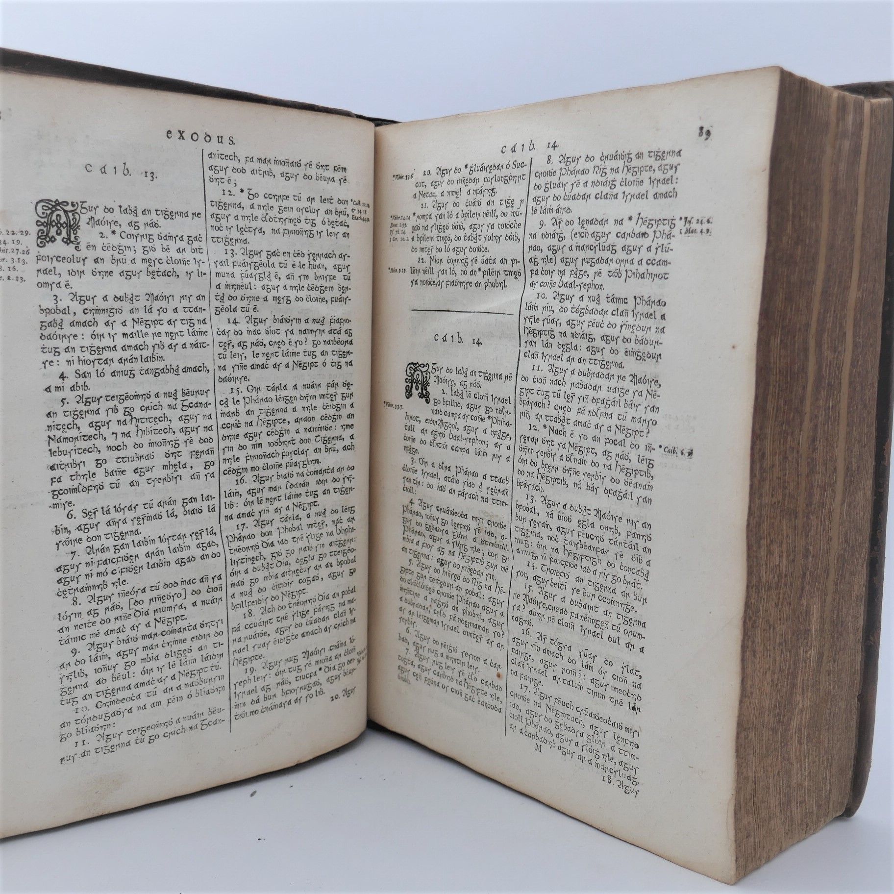 Leabhuir na Seintiomna. The Books of the Old Testament. First Edition (1685) - Image 5