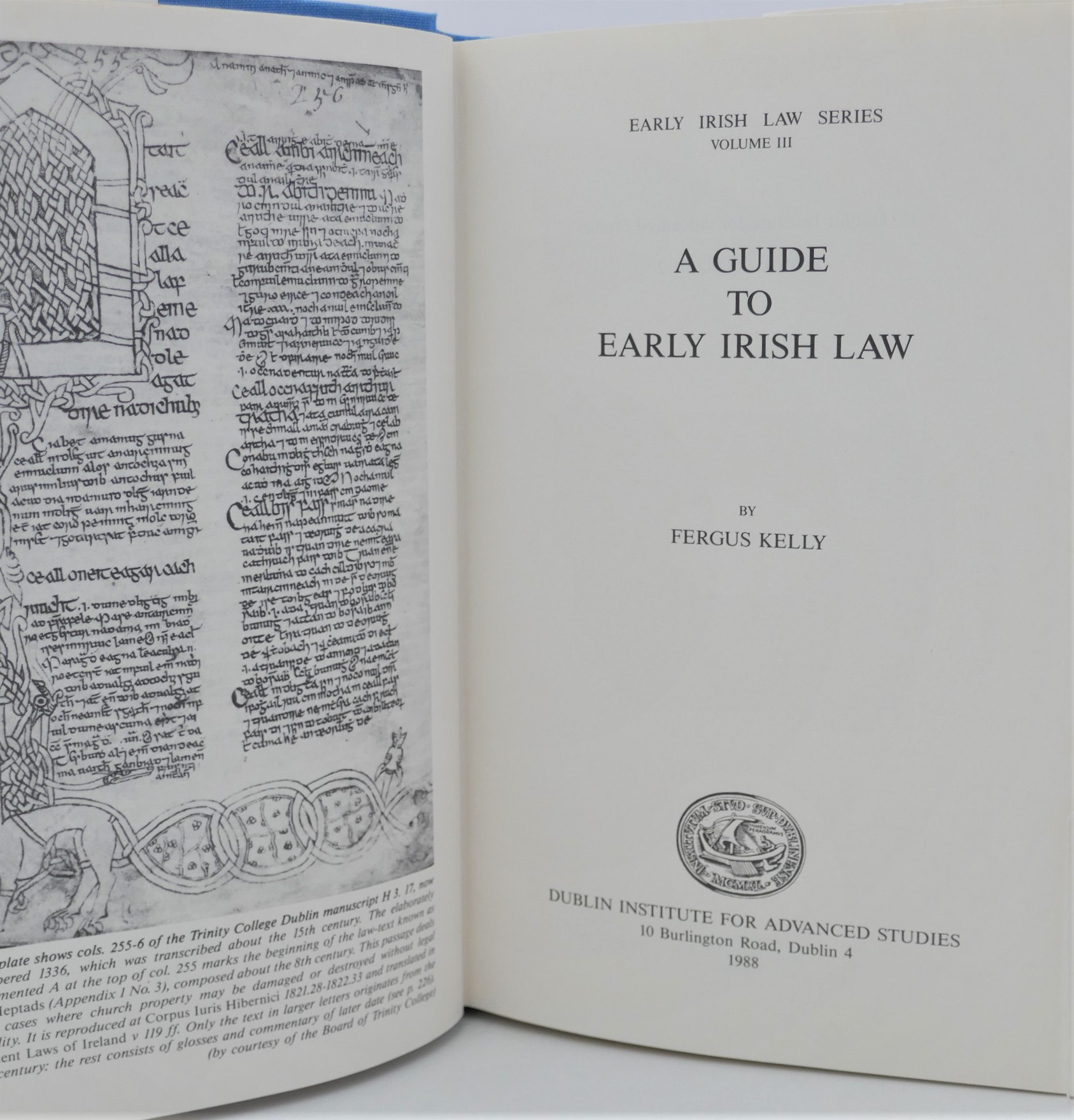 A Guide to Early Irish Law (1988) - Image 2