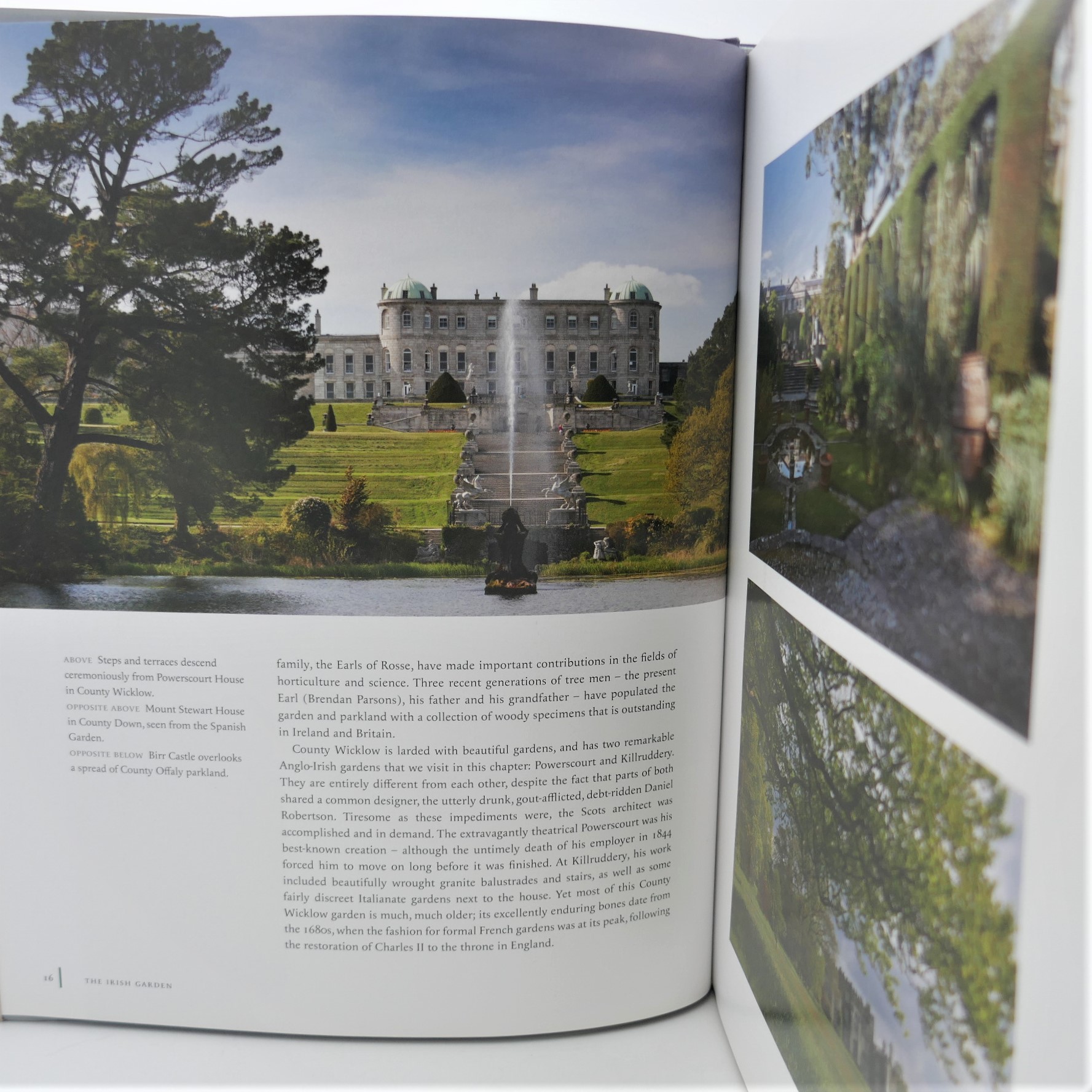 The Irish Garden. Photographs by Jonathan Hession (2015) - Image 3