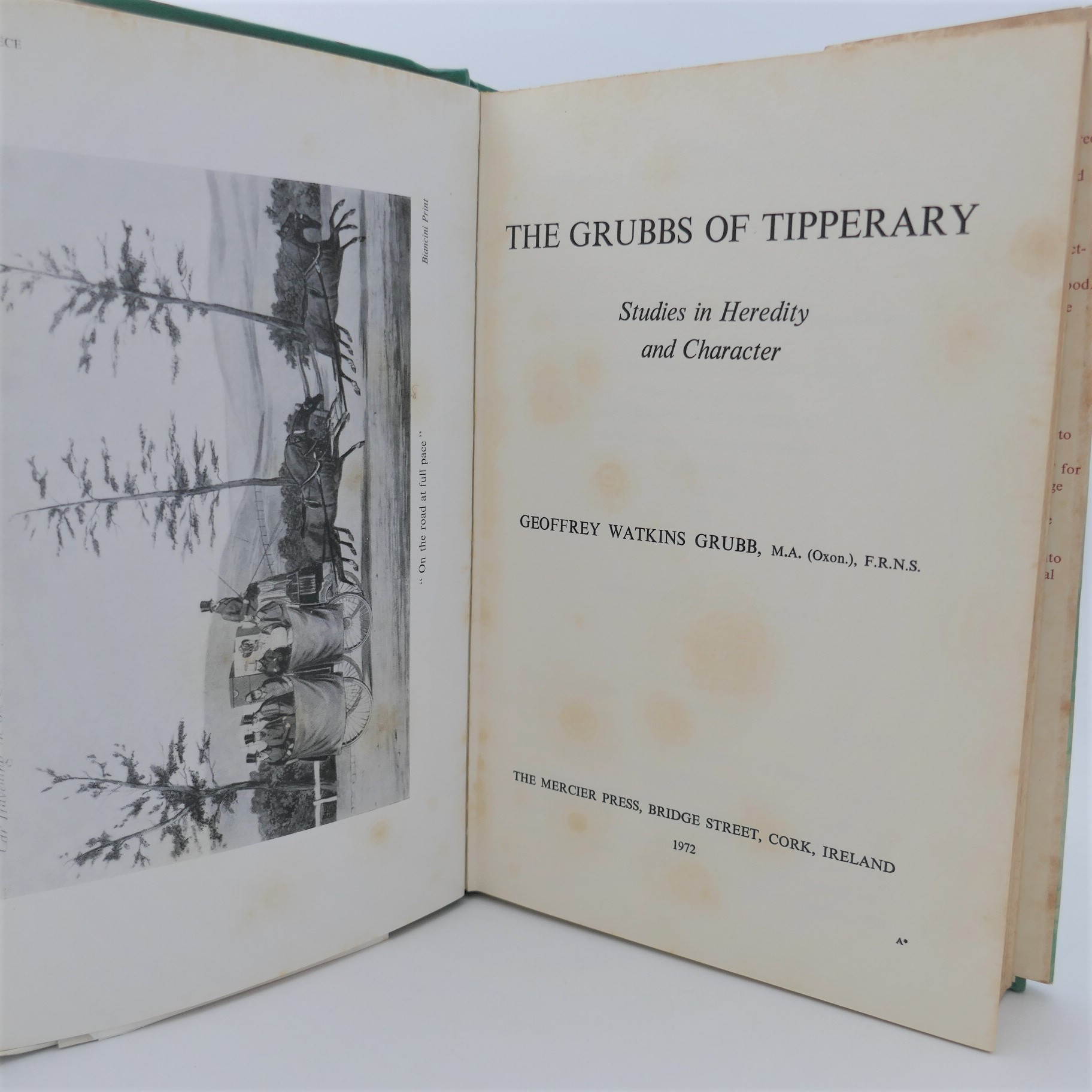 The Grubbs of Tipperary (1972) - Image 3