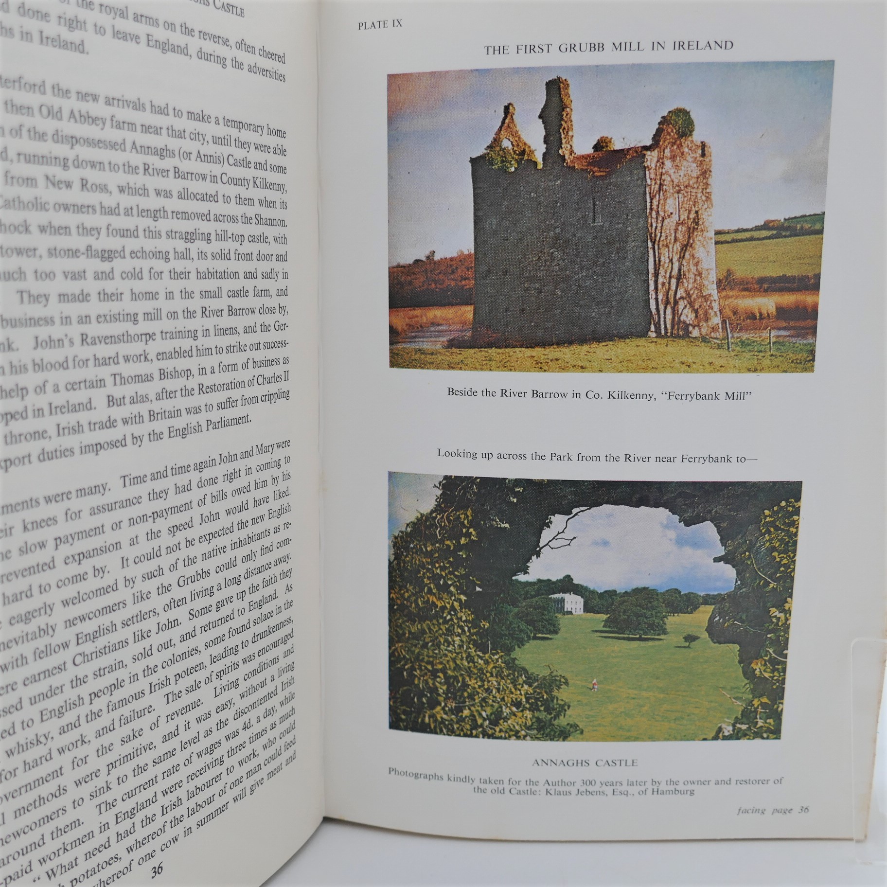 The Grubbs of Tipperary (1972) - Image 4