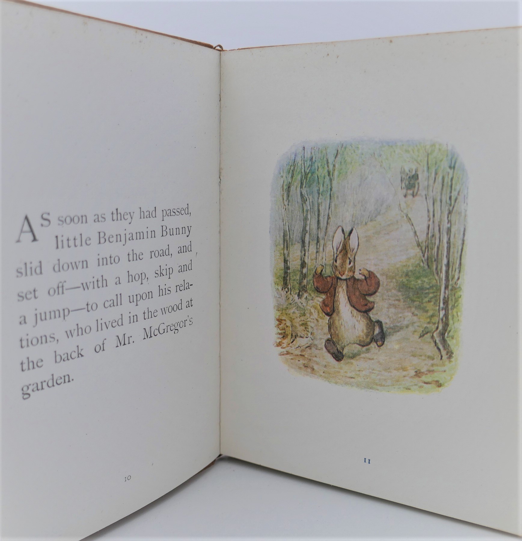 The Tale of Benjamin Bunny (1904) - Image 2