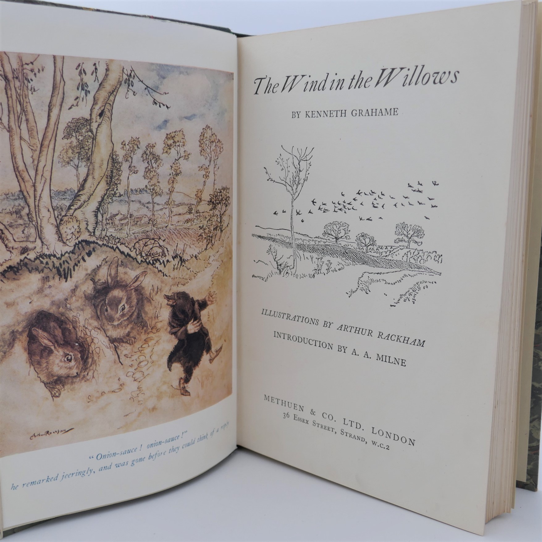 The Wind in the Willows. Illustrated by Arthur Rackham (1952) - Image 2