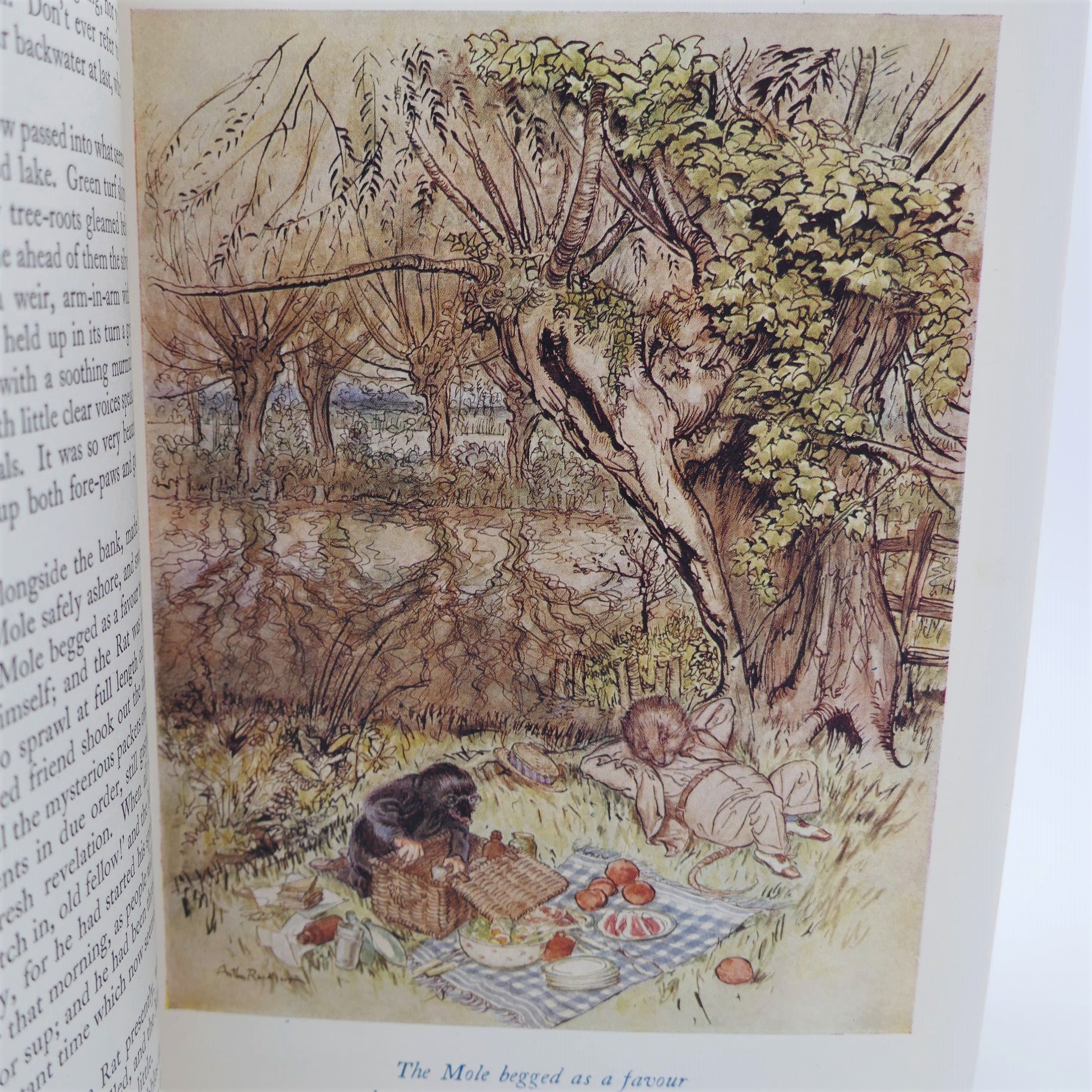 The Wind in the Willows. Illustrated by Arthur Rackham (1952) - Image 3