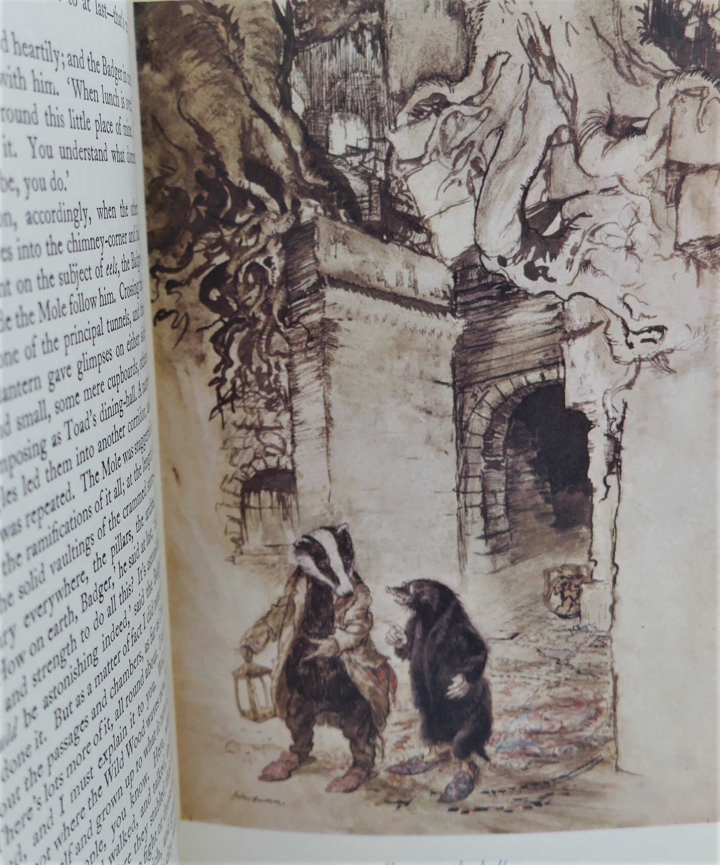 The Wind in the Willows. Illustrated by Arthur Rackham (1952) - Image 4