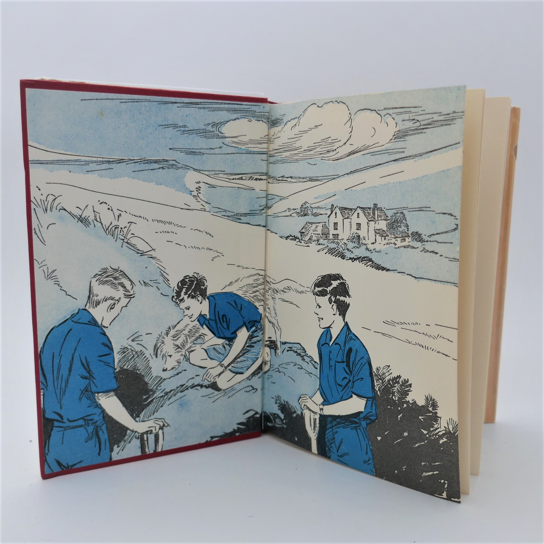 Five on Finniston Farm. First Edition (1960) - Image 2