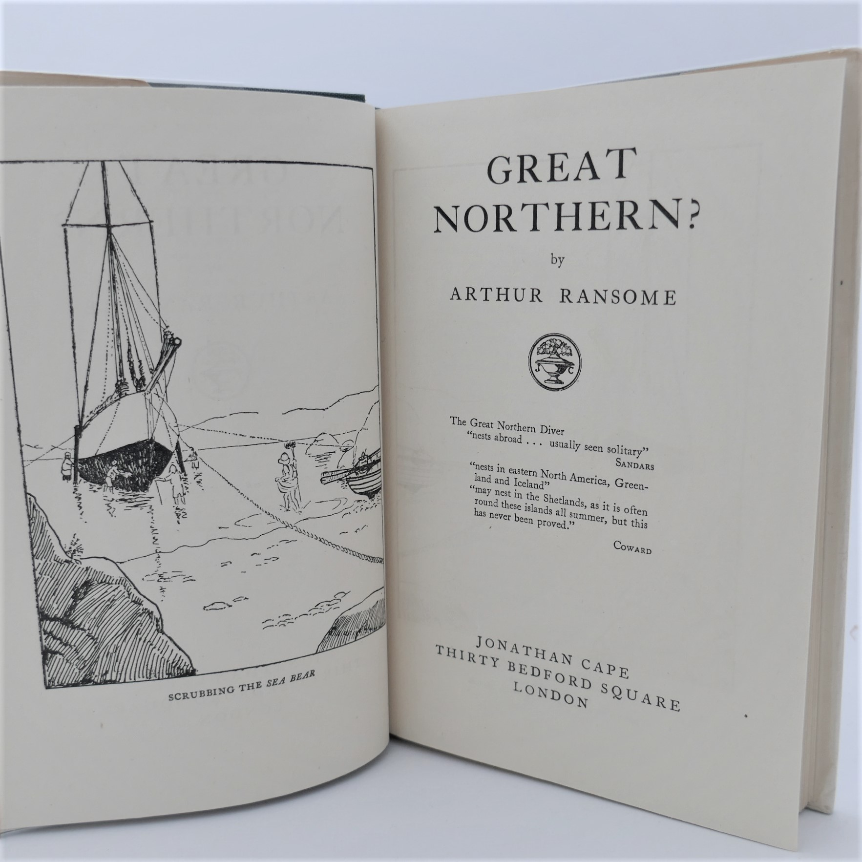 Great Northern? A Scottish Adventure of Swallows & Amazons (1947) - Image 3