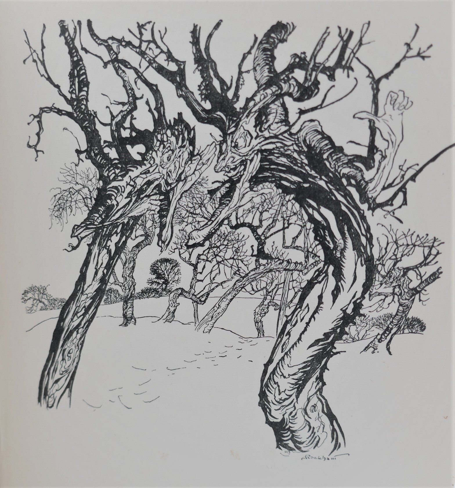 A Dish of Apples. Illustrated by Arthur Rackham (1921) - Image 6