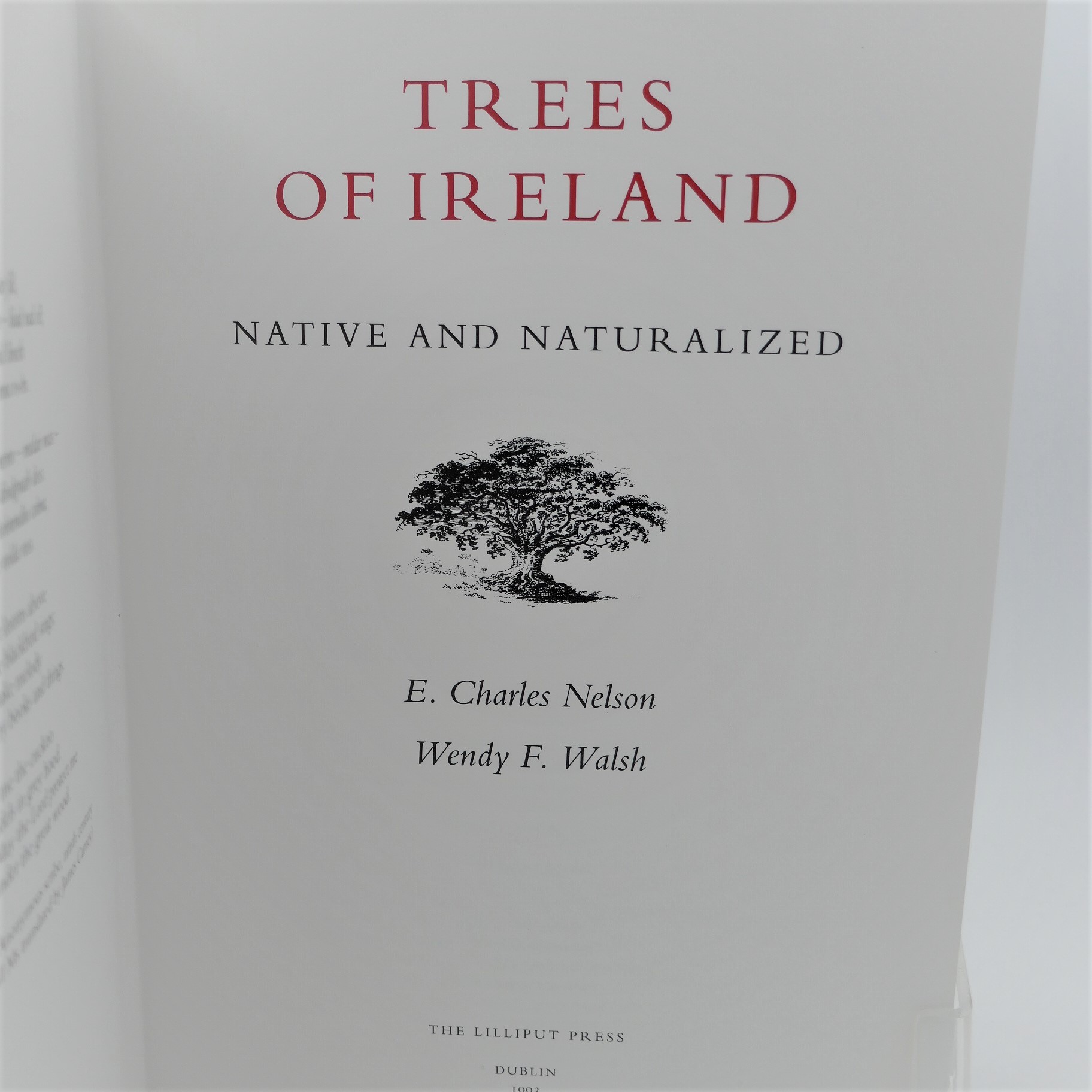 The Trees of Ireland. Limited Edition (1993) - Image 4