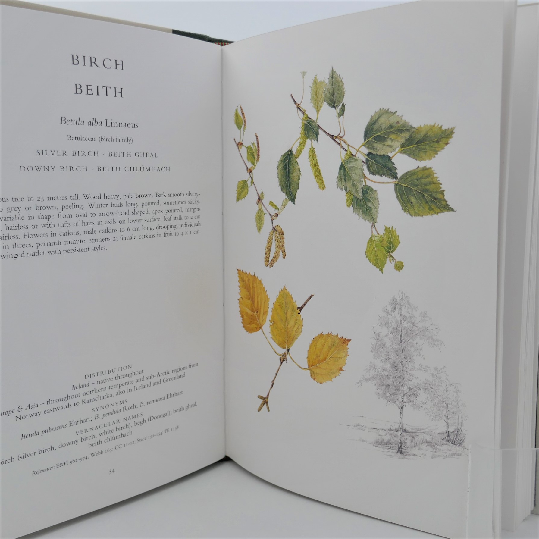 The Trees of Ireland. Limited Edition (1993) - Image 5