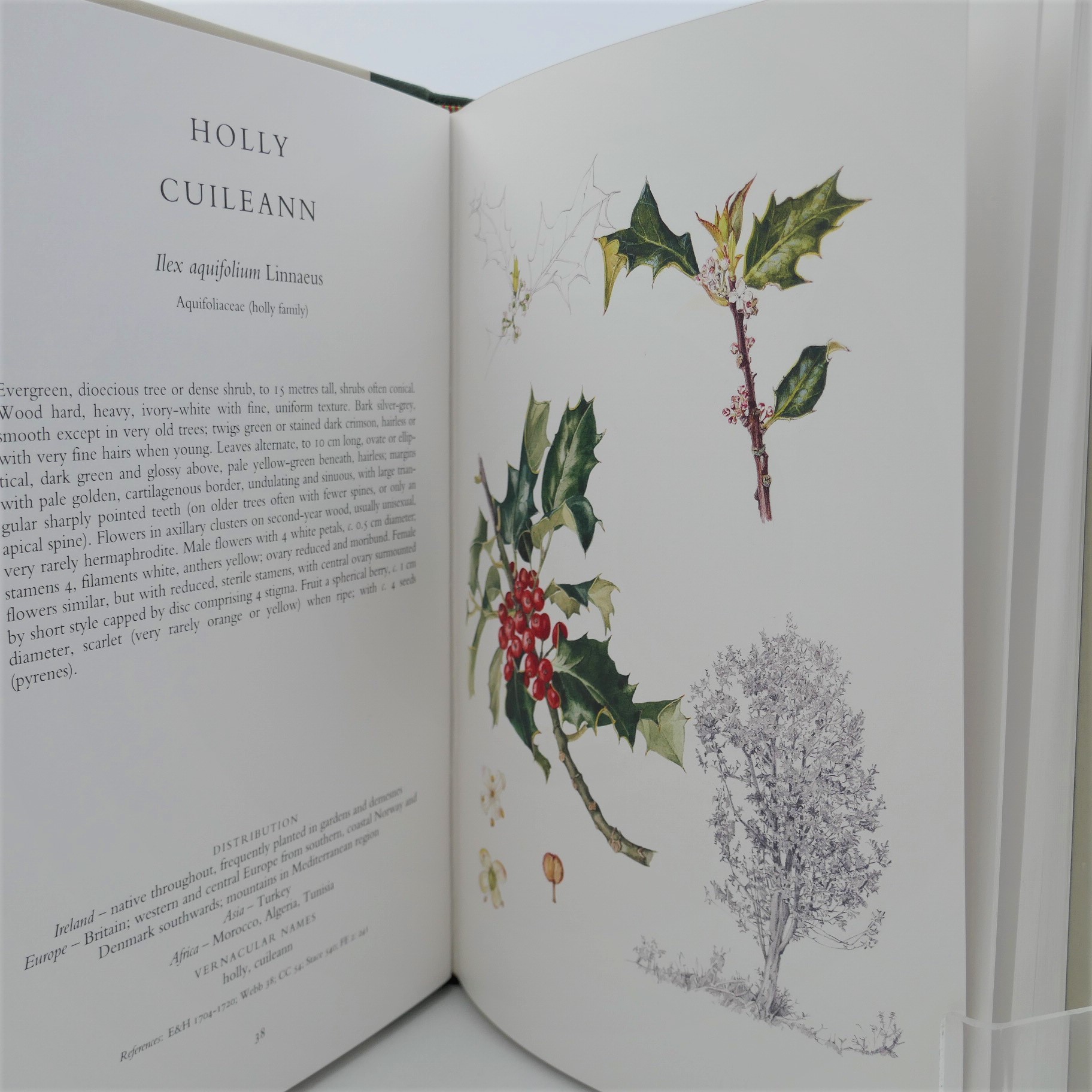The Trees of Ireland. Limited Edition (1993) - Image 6