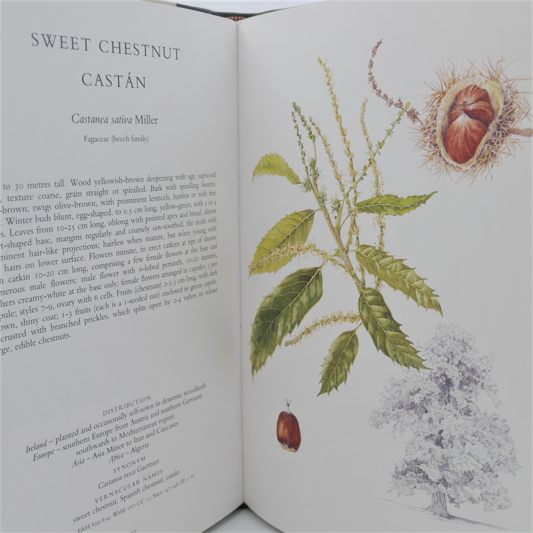 The Trees of Ireland. Limited Edition (1993) - Image 7