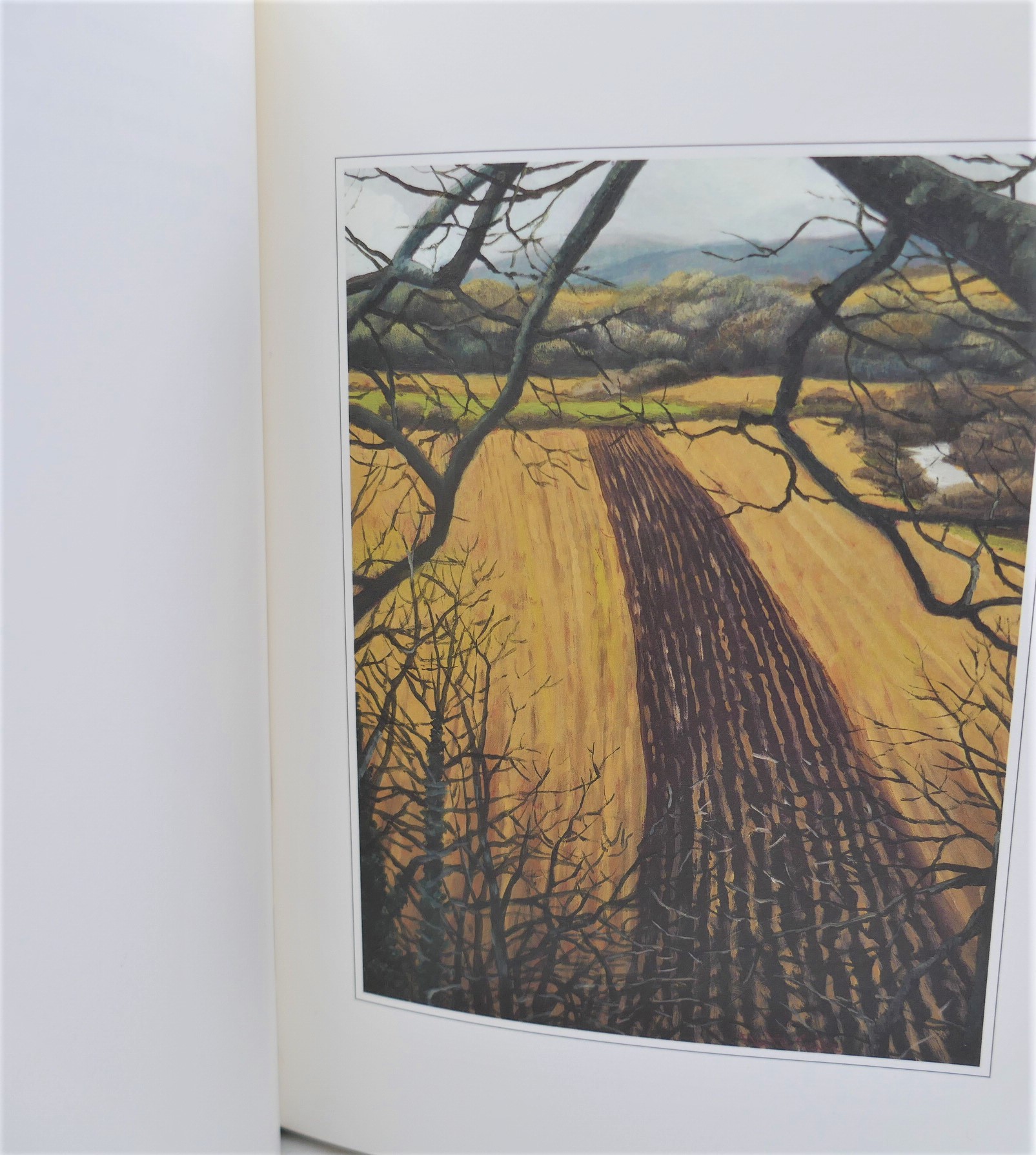 The Last Walk. Illustrated by Martin Gale (2013) - Image 3