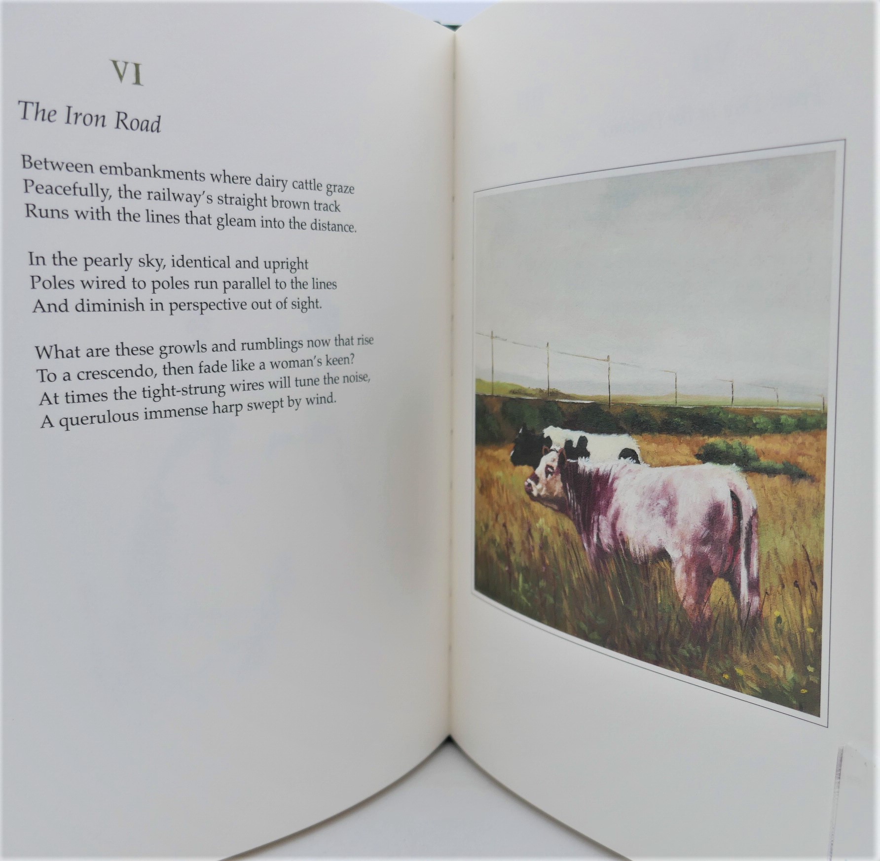 The Last Walk. Illustrated by Martin Gale (2013) - Image 5