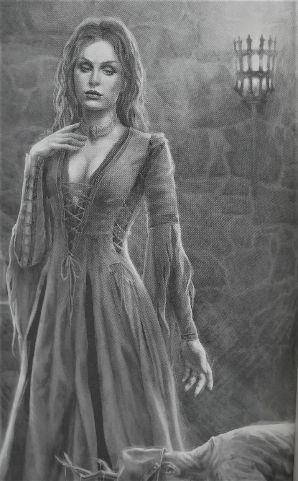 A Clash of Kings. The Illustrated Edition. Signed by the Author (2019) - Image 3