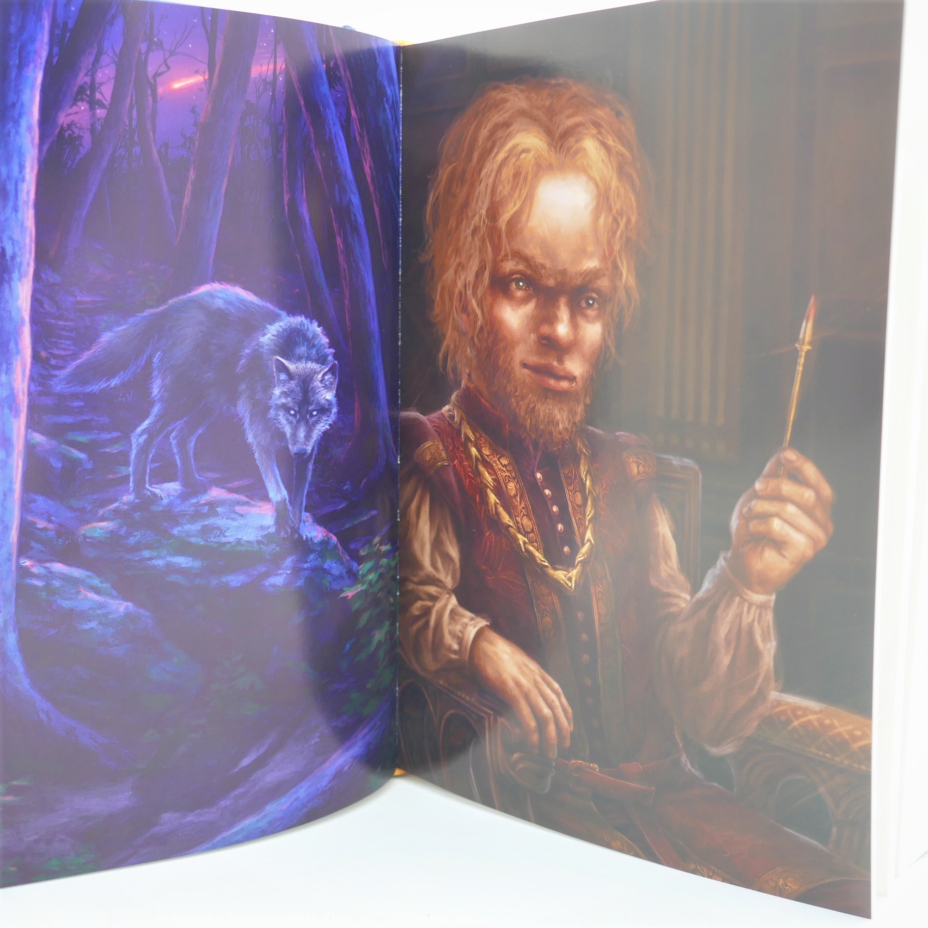A Clash of Kings. The Illustrated Edition. Signed by the Author (2019) - Image 4