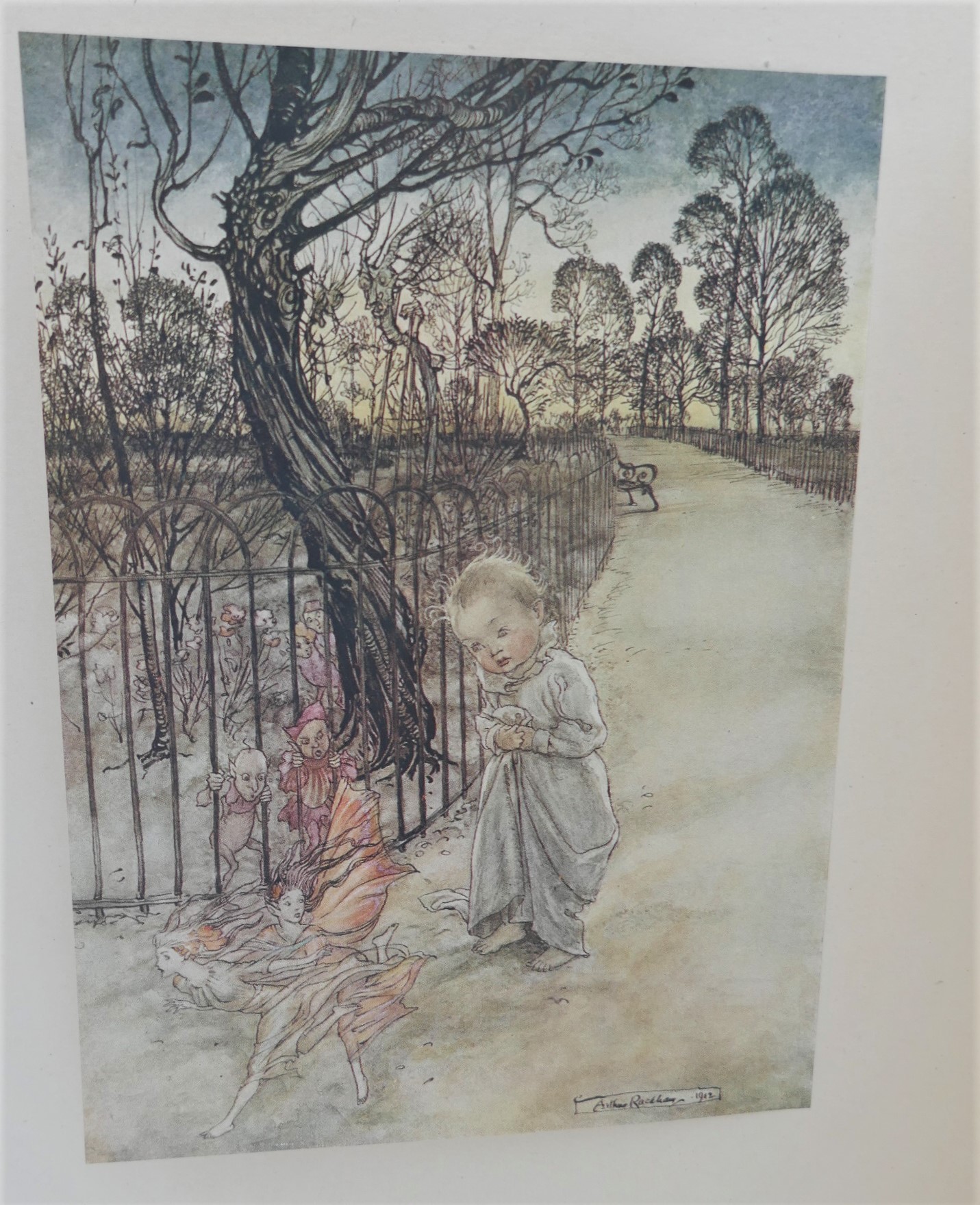 Peter Pan in Kensington Gardens. Illustrated by Arthur Rackham (1912) - Image 2