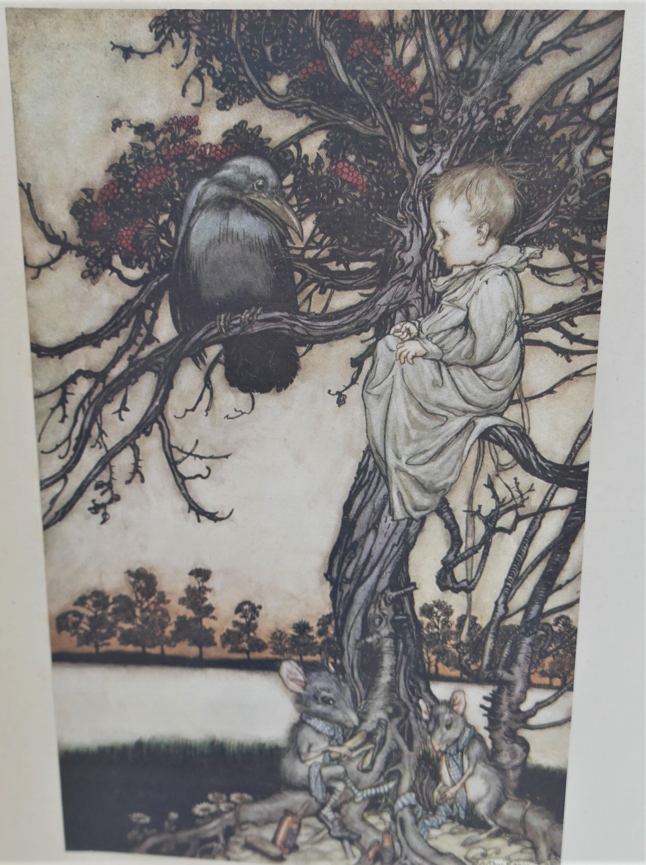 Peter Pan in Kensington Gardens. Illustrated by Arthur Rackham (1912) - Image 5