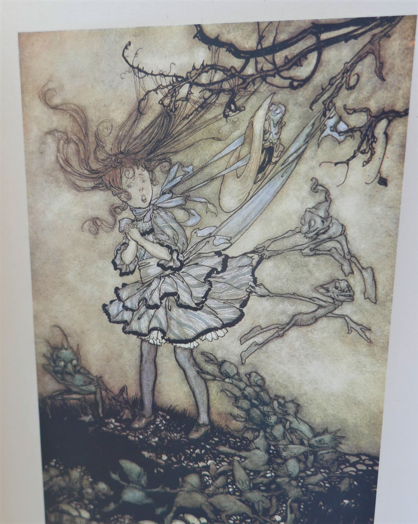Peter Pan in Kensington Gardens. Illustrated by Arthur Rackham (1912) - Image 6