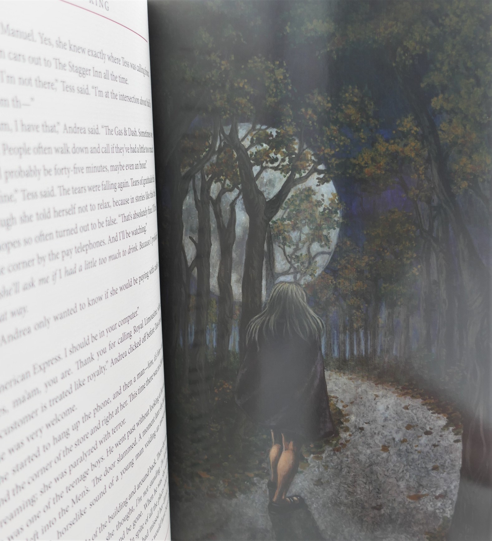 Full Dark, No Stars. The Deluxe Special Edition (2010) - Image 5