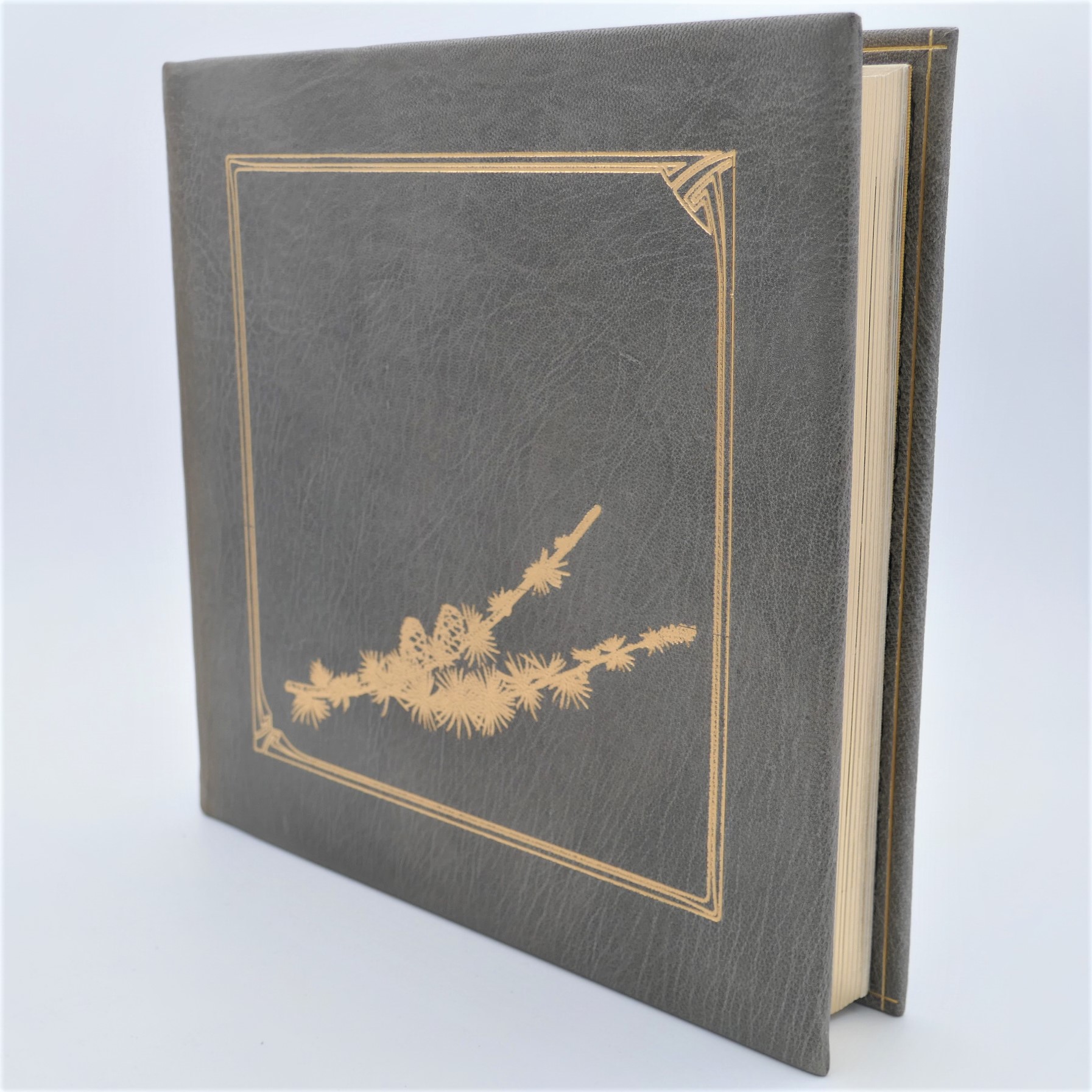 The Beckett Country. Samuel Beckett's Ireland. Limited Signed Edition (1986) - Image 12