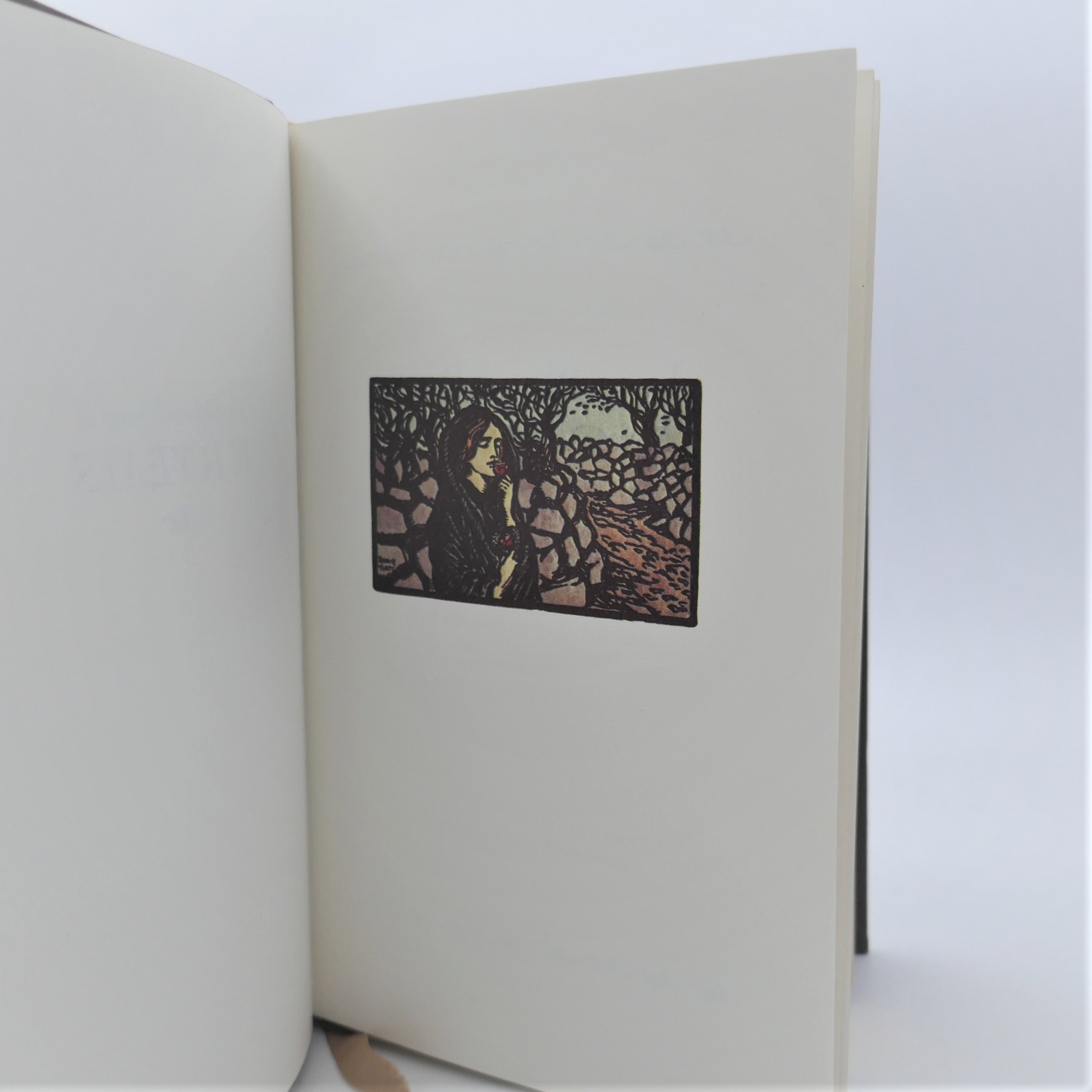 The Collected Poems of W.B. Yeats. Illustration by Jack B. Yeats (1979) - Image 2