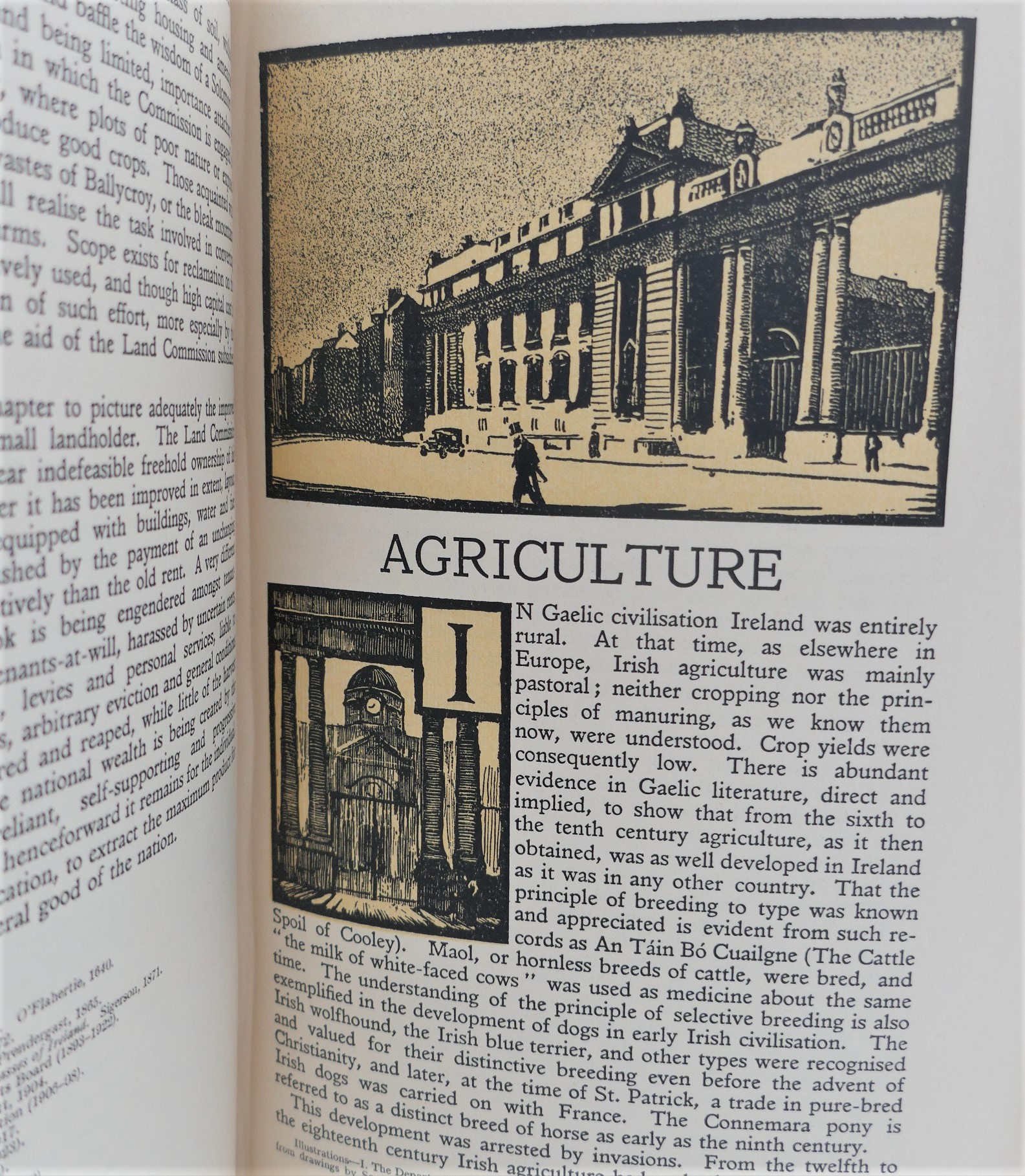 Saorstat Eireann. Irish Free State Official Handbook (1932) - Image 5