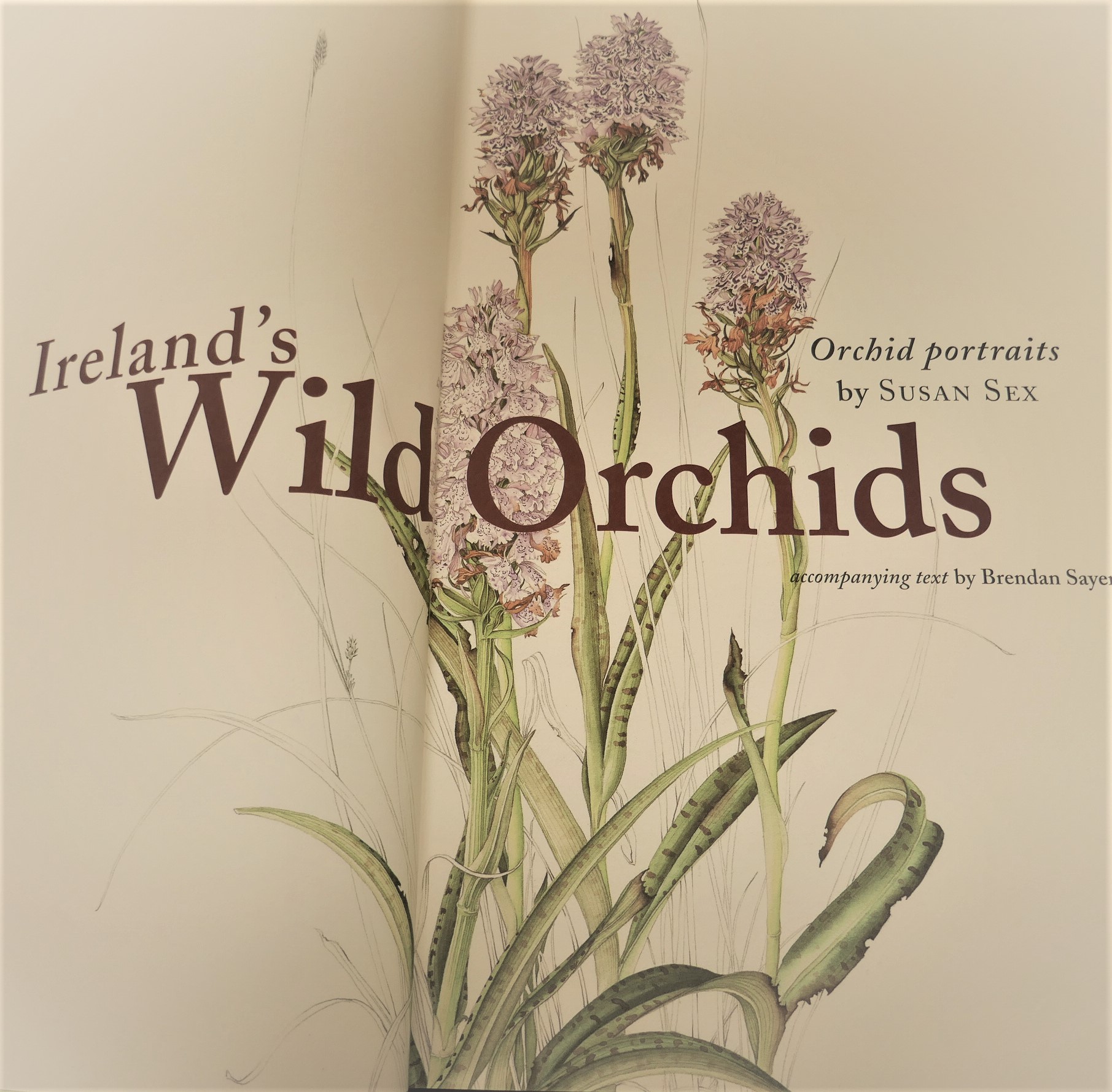 Ireland's Wild Orchids. Limited Signed Edition (2004) - Image 2