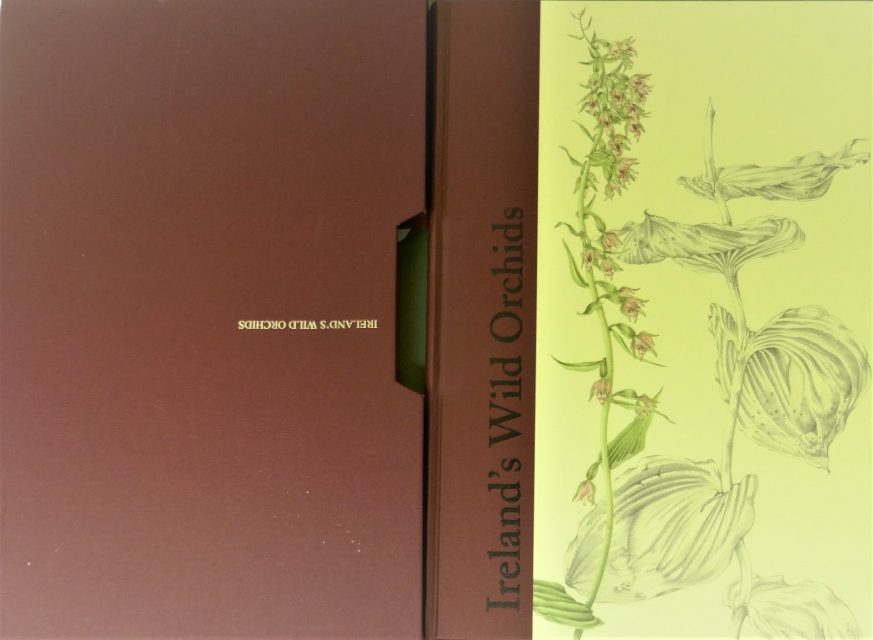 Ireland's Wild Orchids. Limited Signed Edition (2004) - Image 9