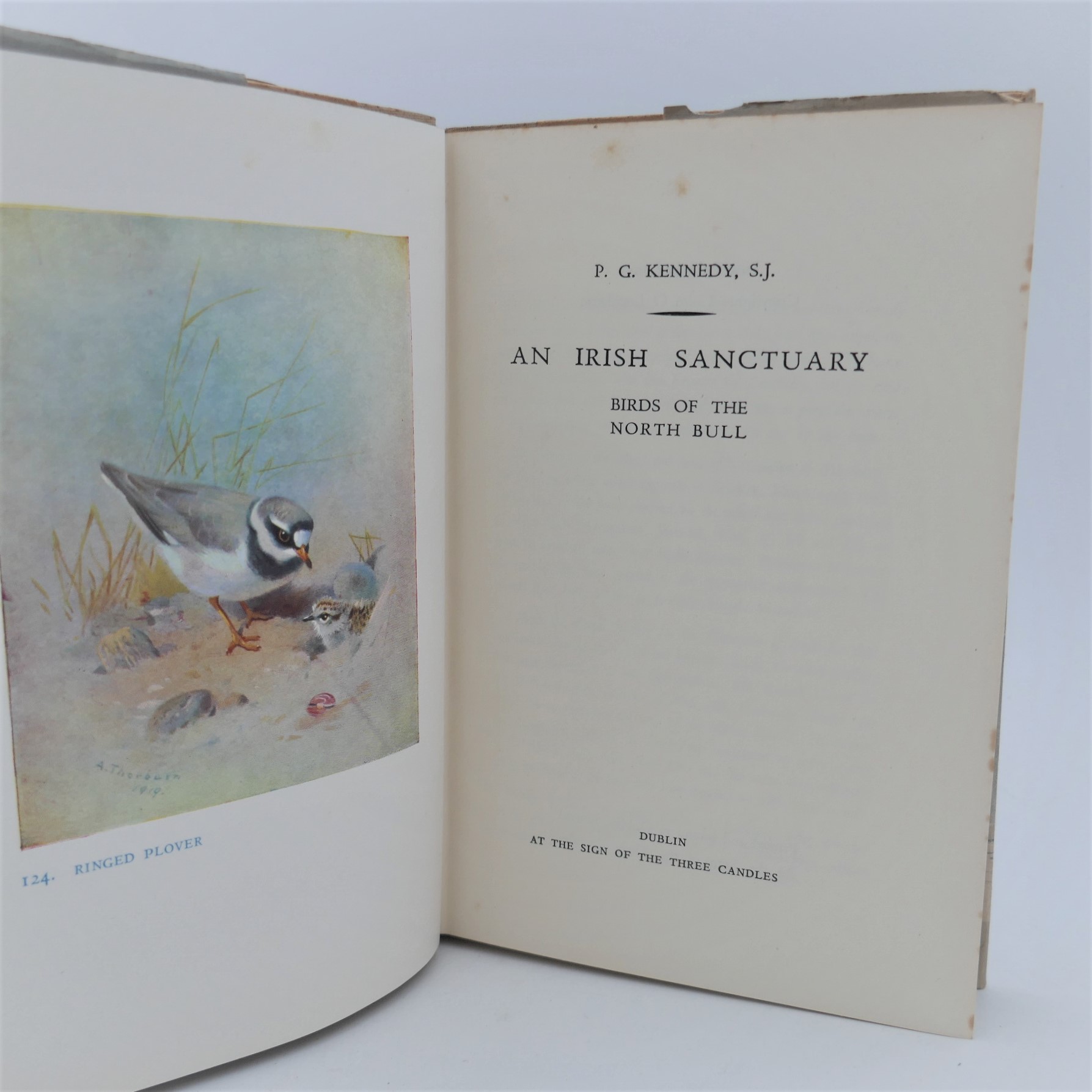 An Irish Sanctuary. Birds of the North Bull (1953) - Image 2