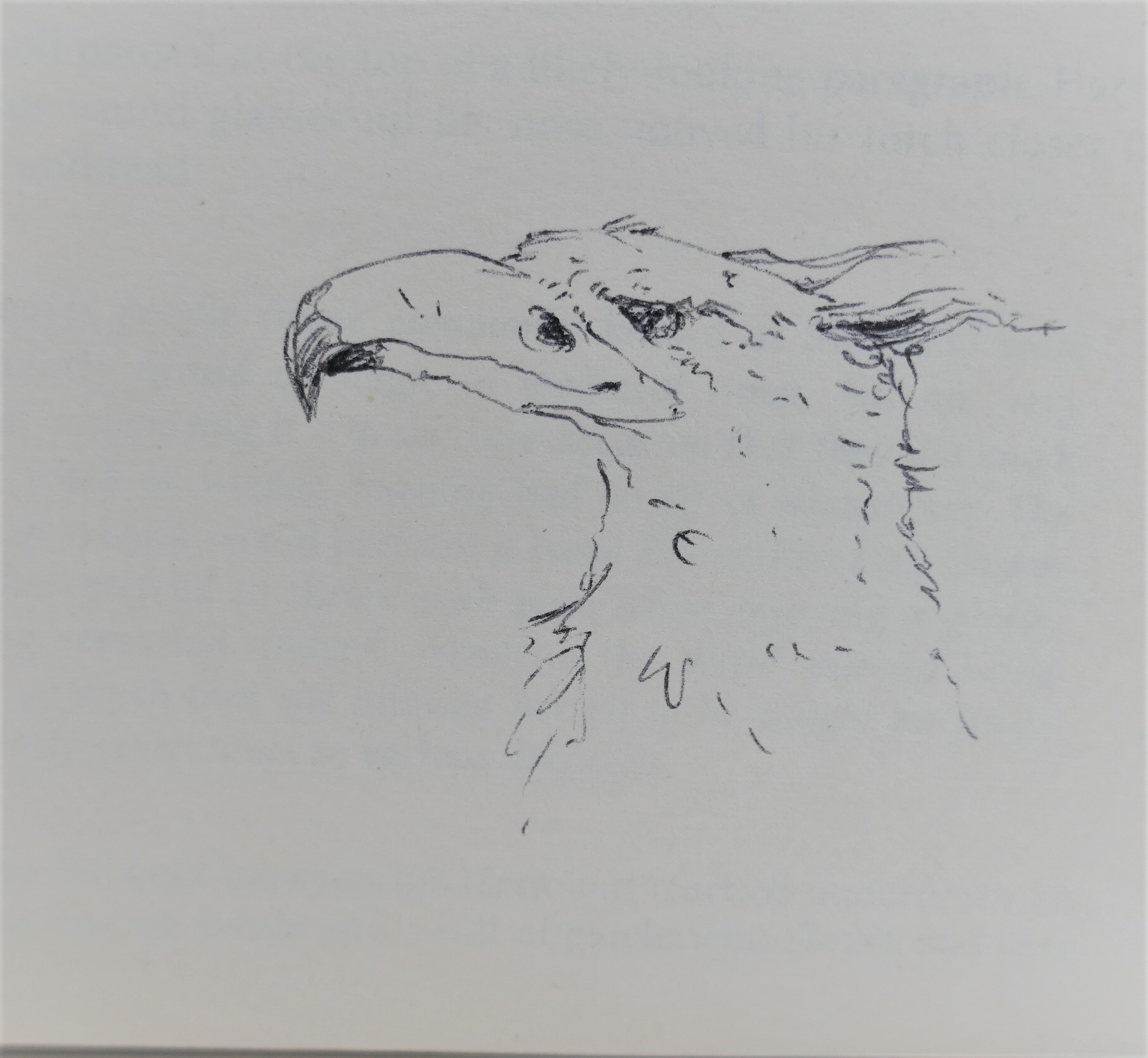 Harry Potter and the Prisoner of Azkaban. With Sketch by the Illustrator (1999) - Image 4