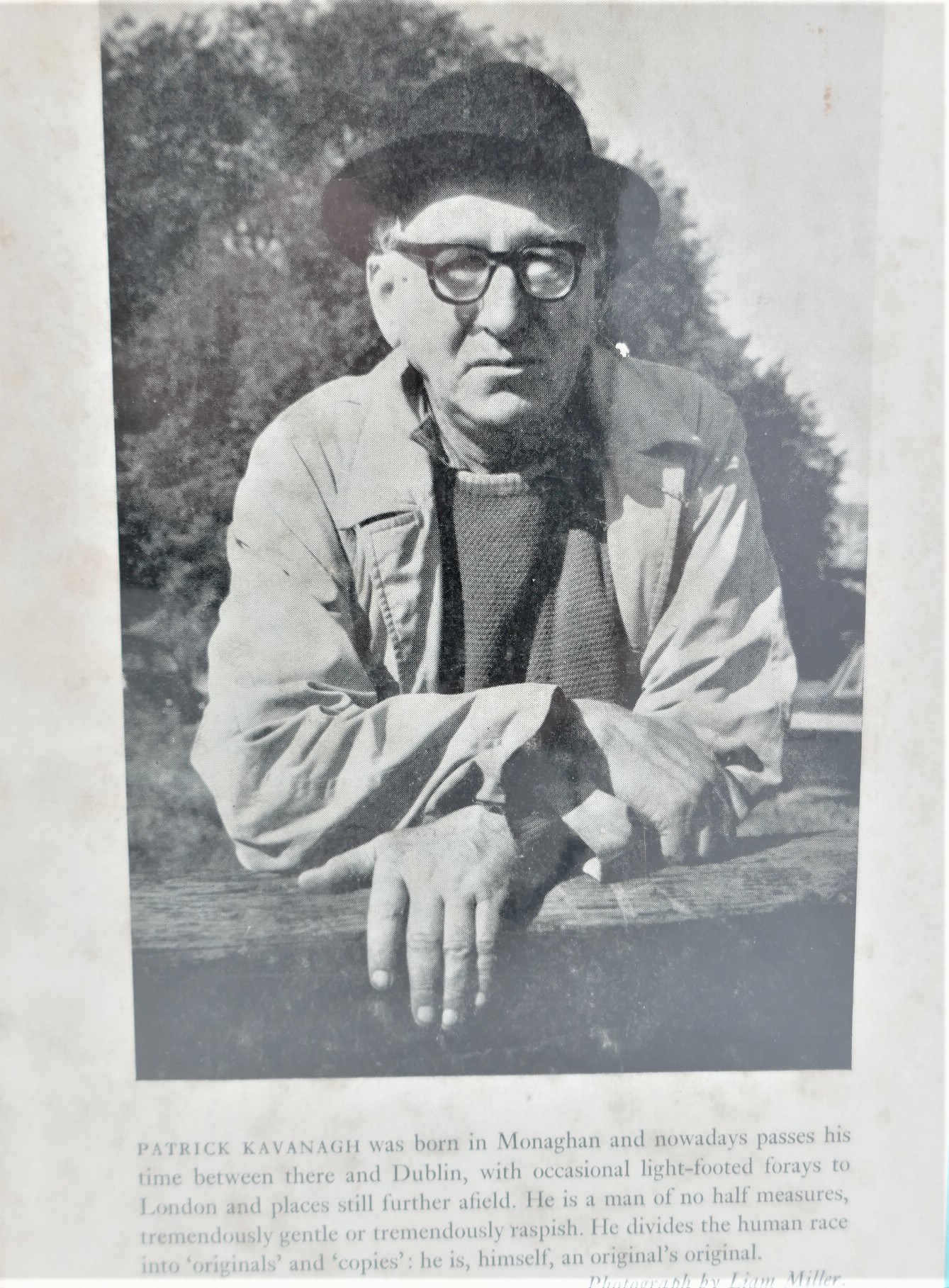 Tarry Flynn. A Novel (1965) - Image 2