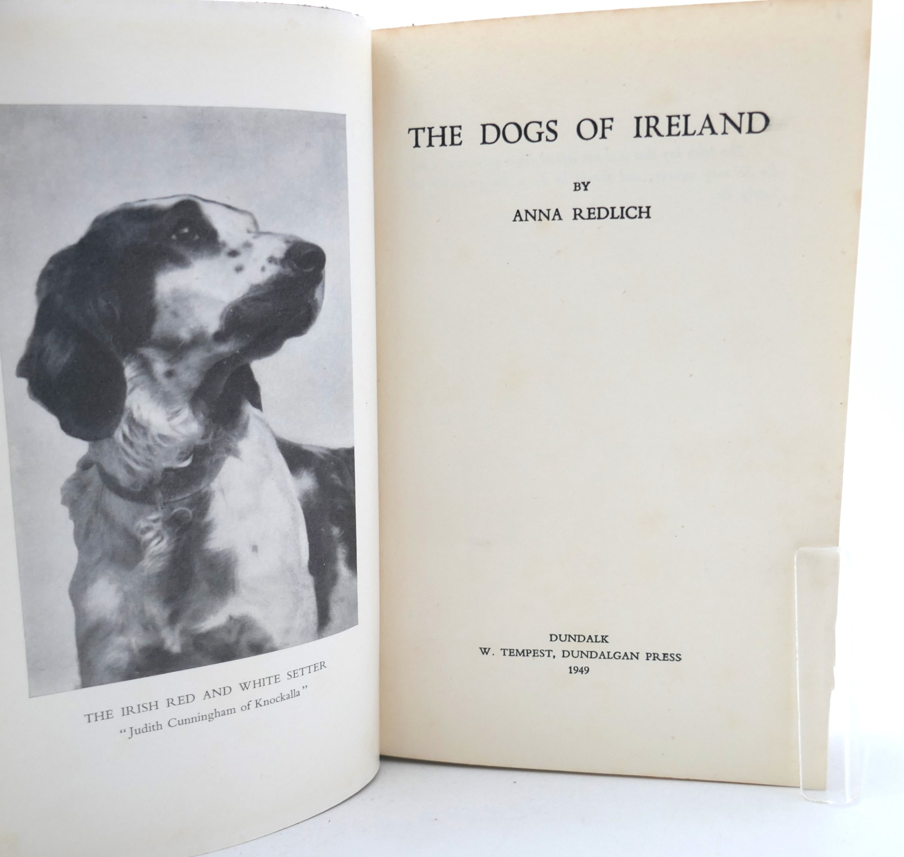 The Dogs of Ireland. Inscribed by the Author (1949) - Image 2