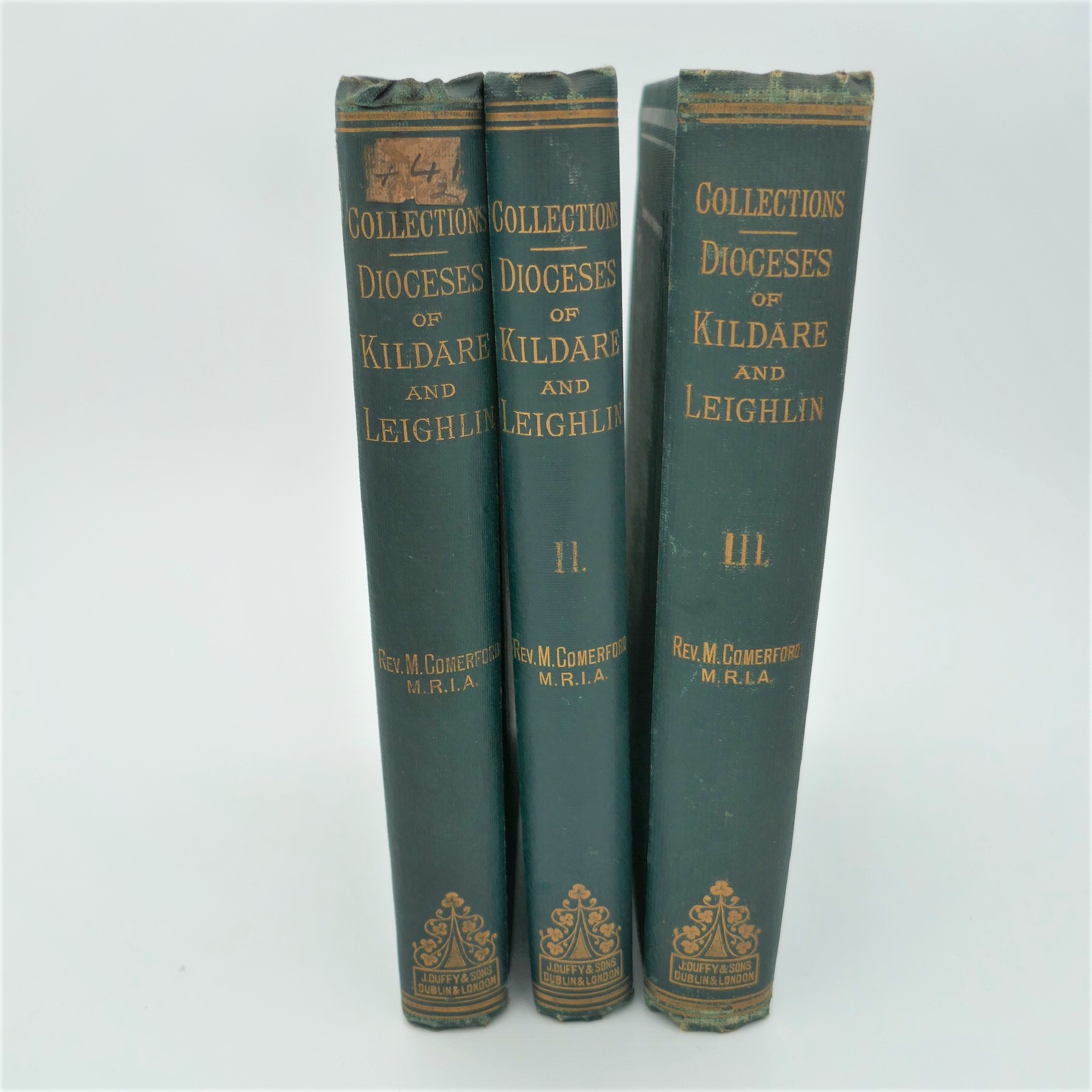 The Dioceses of Kildare and Leighlin (1883-1886)