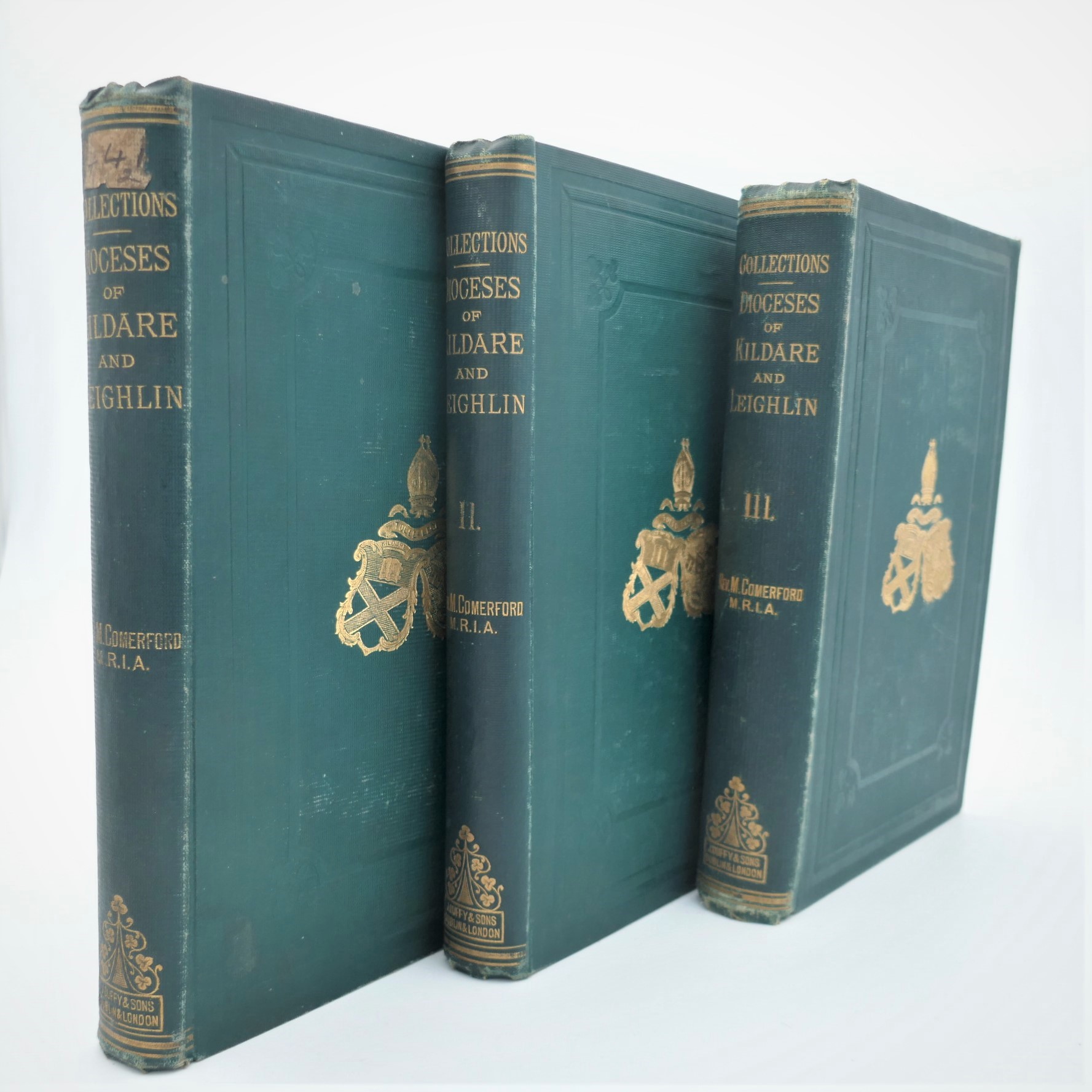 The Dioceses of Kildare and Leighlin (1883-1886) - Image 2