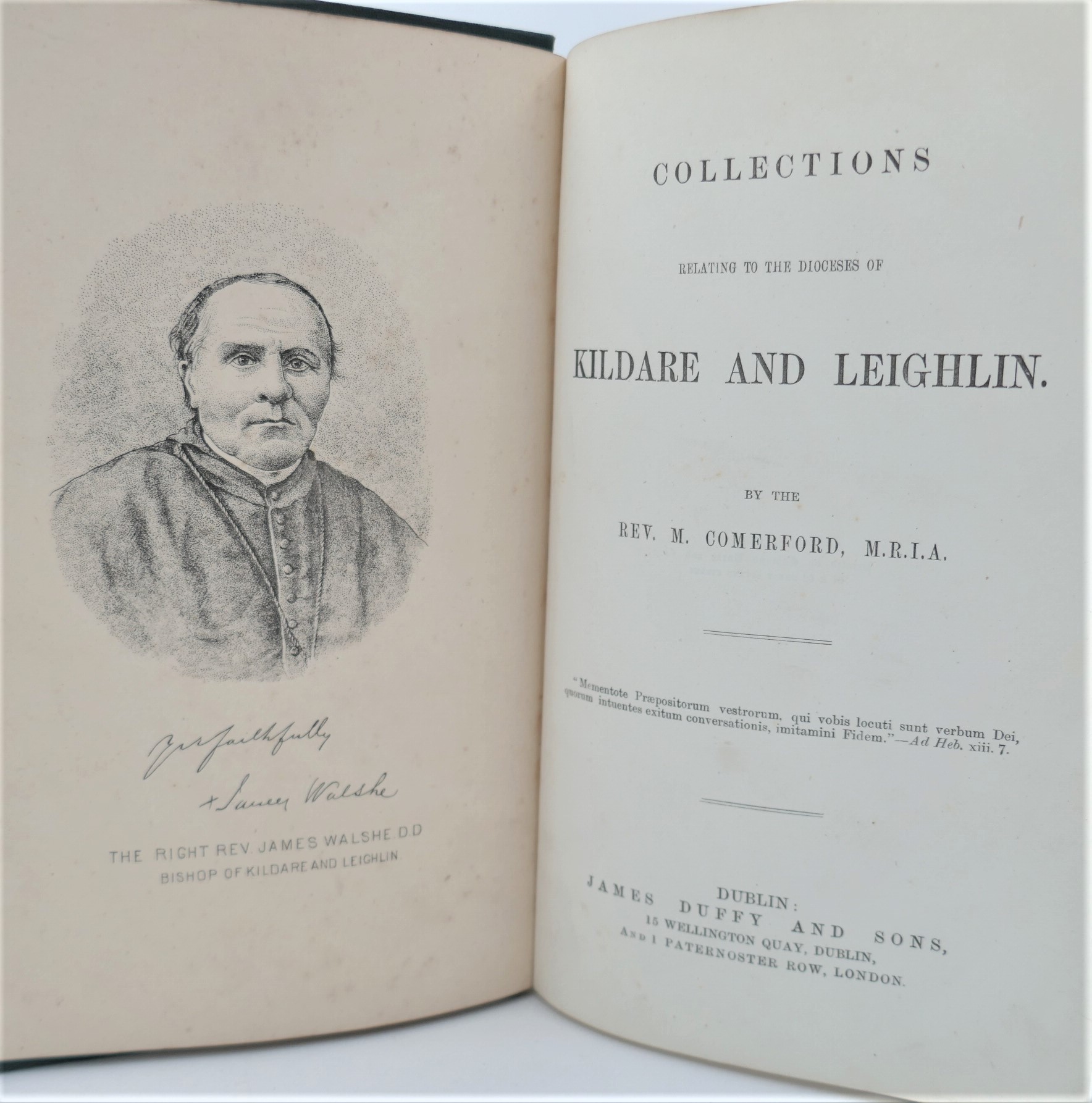The Dioceses of Kildare and Leighlin (1883-1886) - Image 3