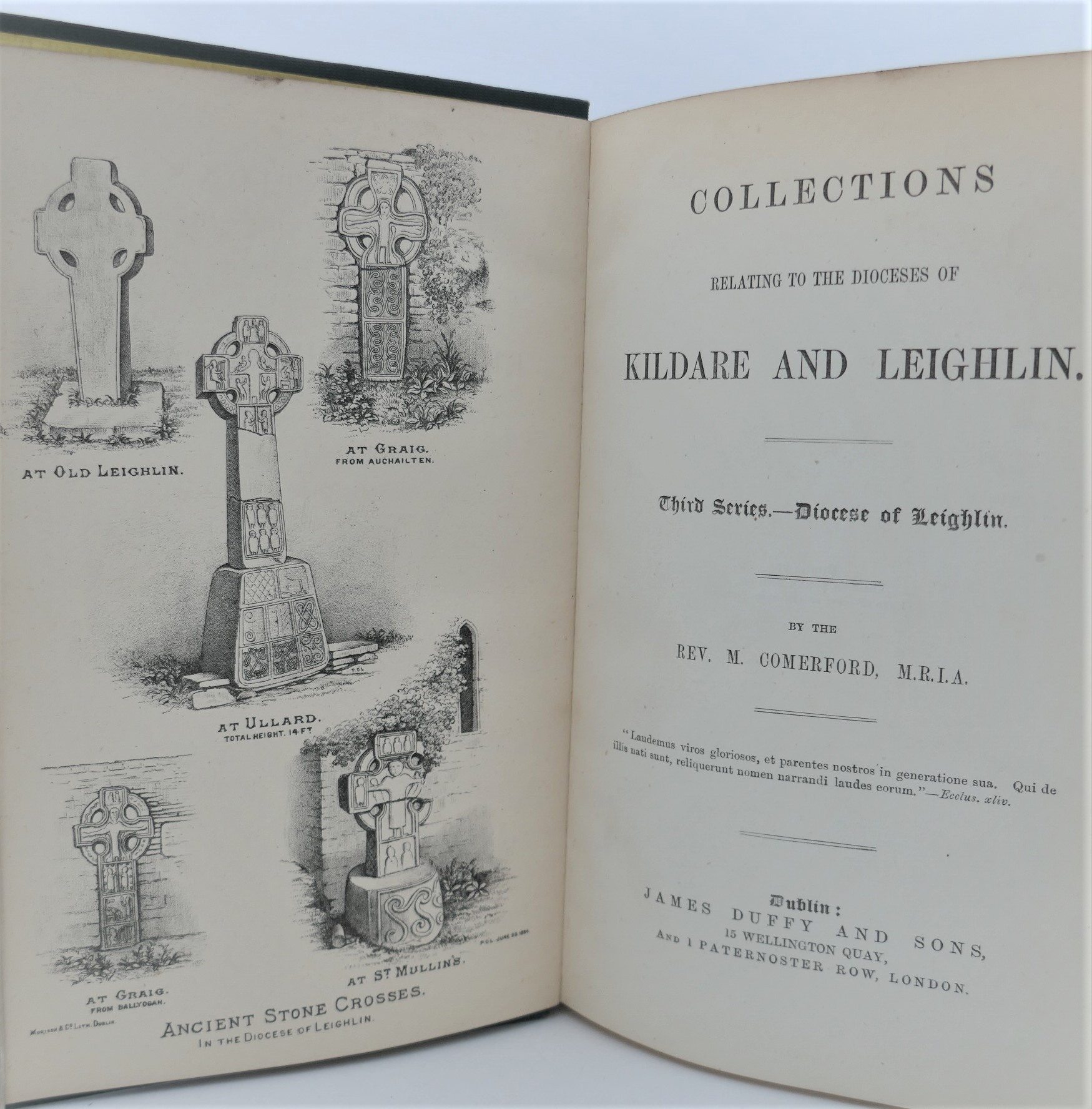 The Dioceses of Kildare and Leighlin (1883-1886) - Image 4