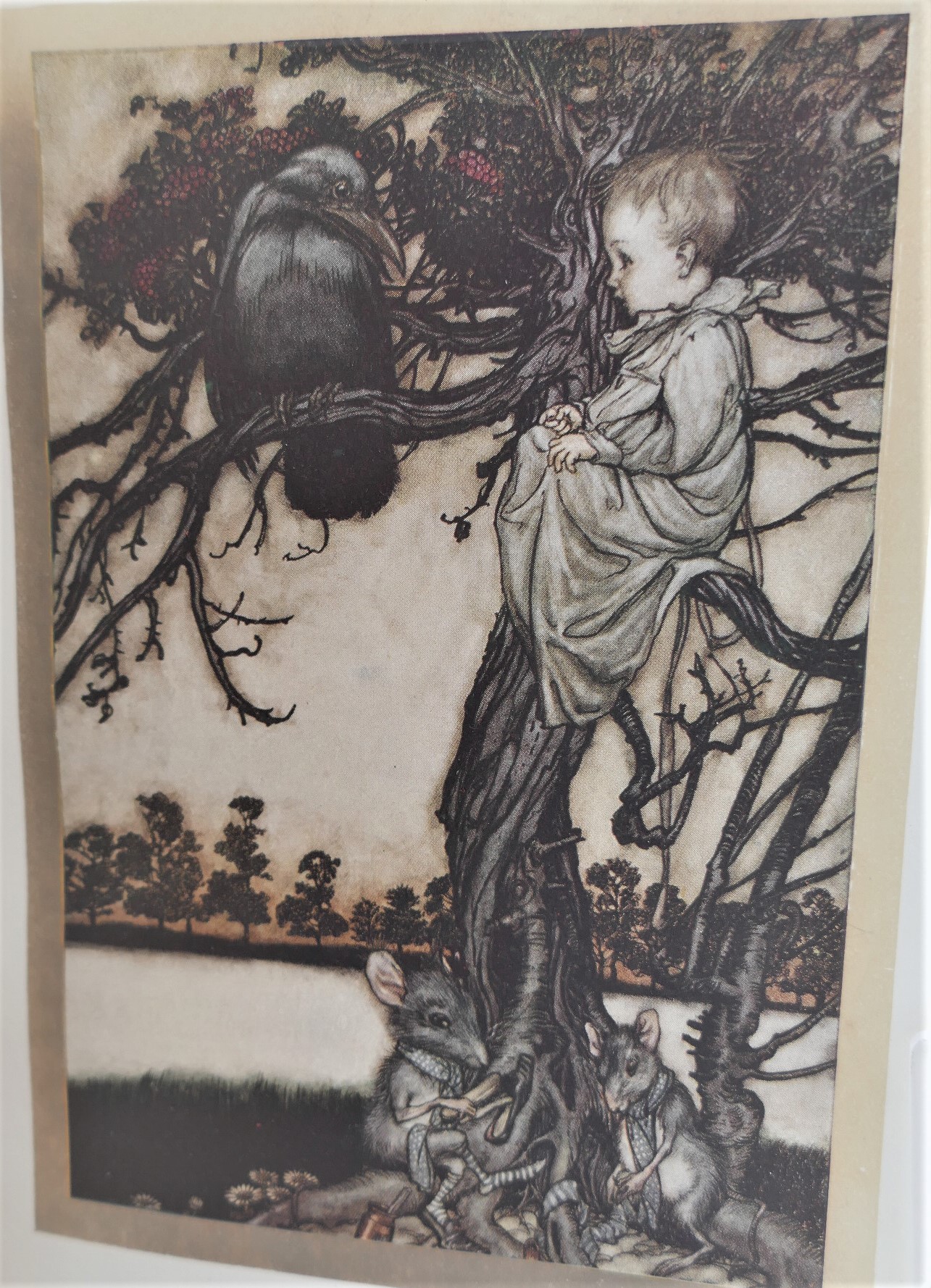 Peter Pan in Kensington Gardens. Inscribed by the Author (1919) - Image 7