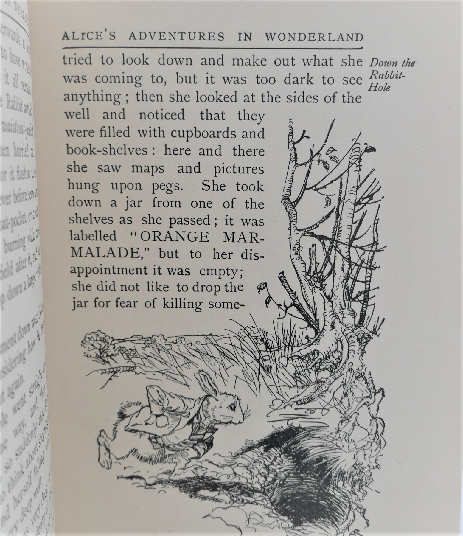 Alice's Adventures in Wonderland. Illustrated by Arthur Rackham (1930) - Image 7