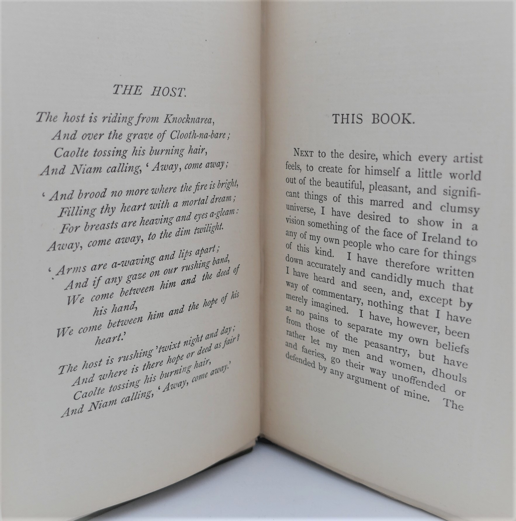 The Celtic Twilight. with Author's signature (1893) - Image 4